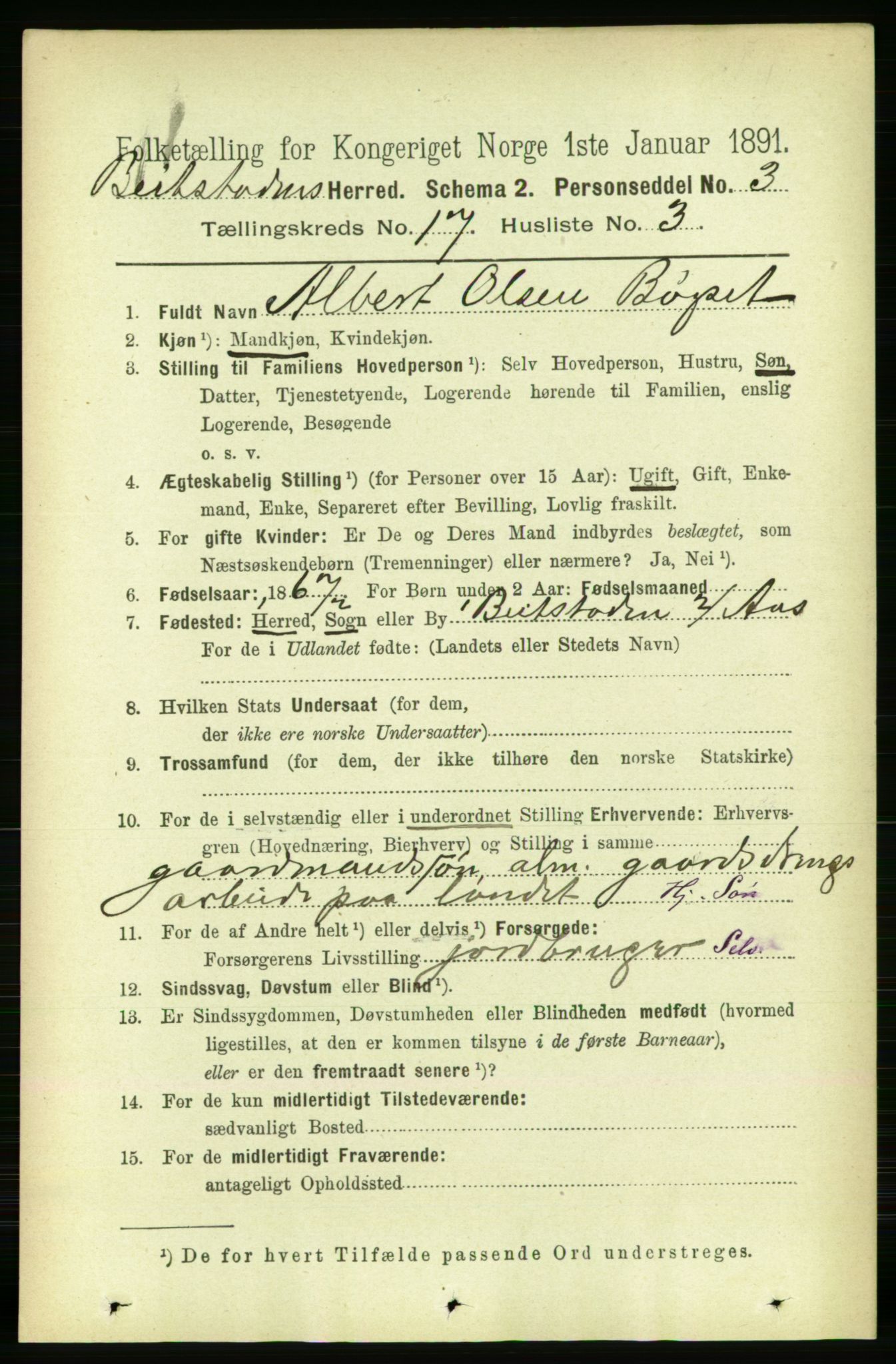 RA, 1891 census for 1727 Beitstad, 1891, p. 4386