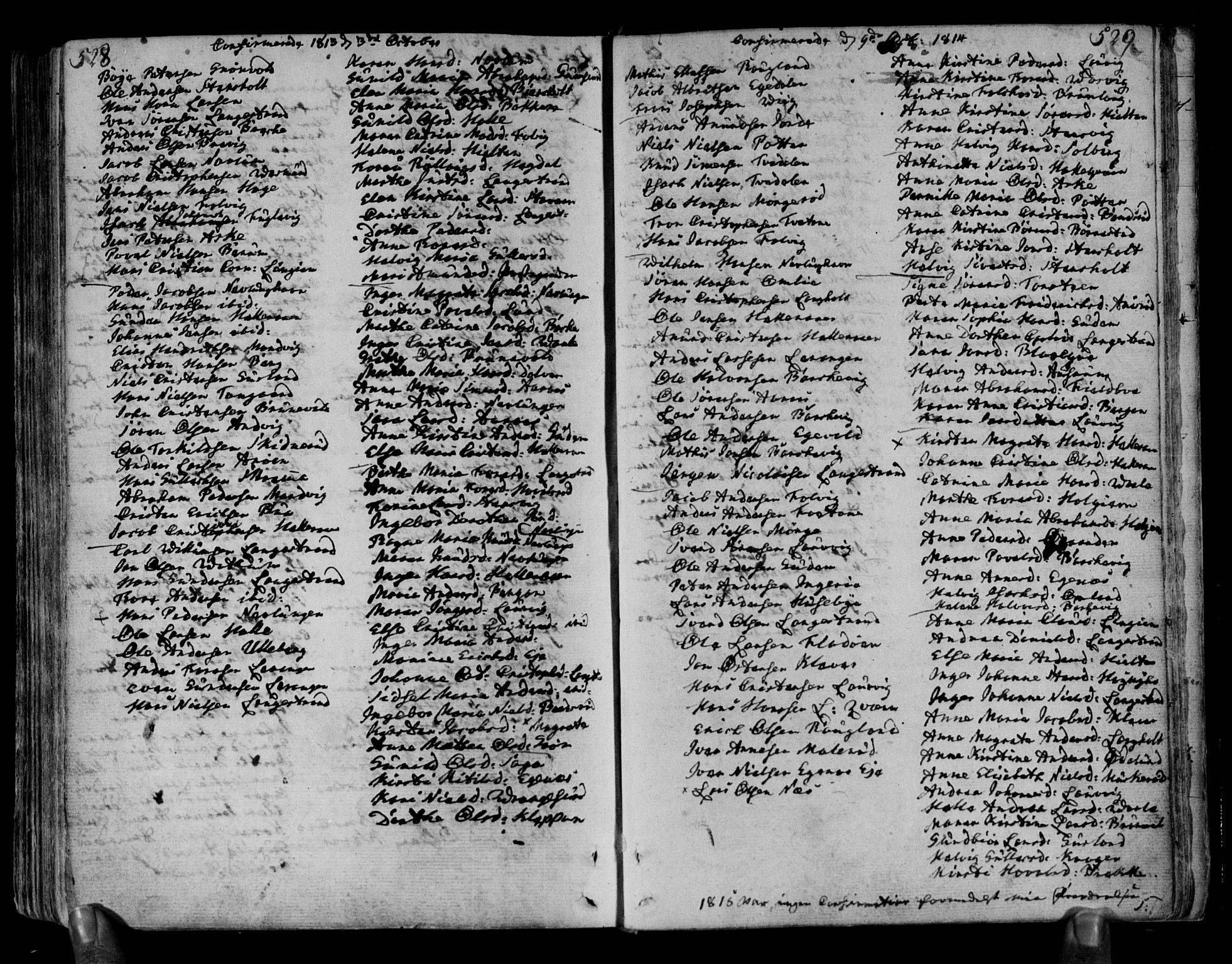 Brunlanes kirkebøker, AV/SAKO-A-342/F/Fa/L0002: Parish register (official) no. I 2, 1802-1834, p. 528-529