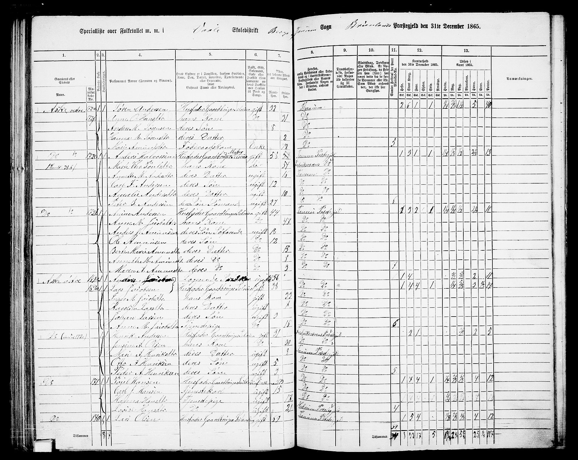 RA, 1865 census for Brunlanes, 1865, p. 116