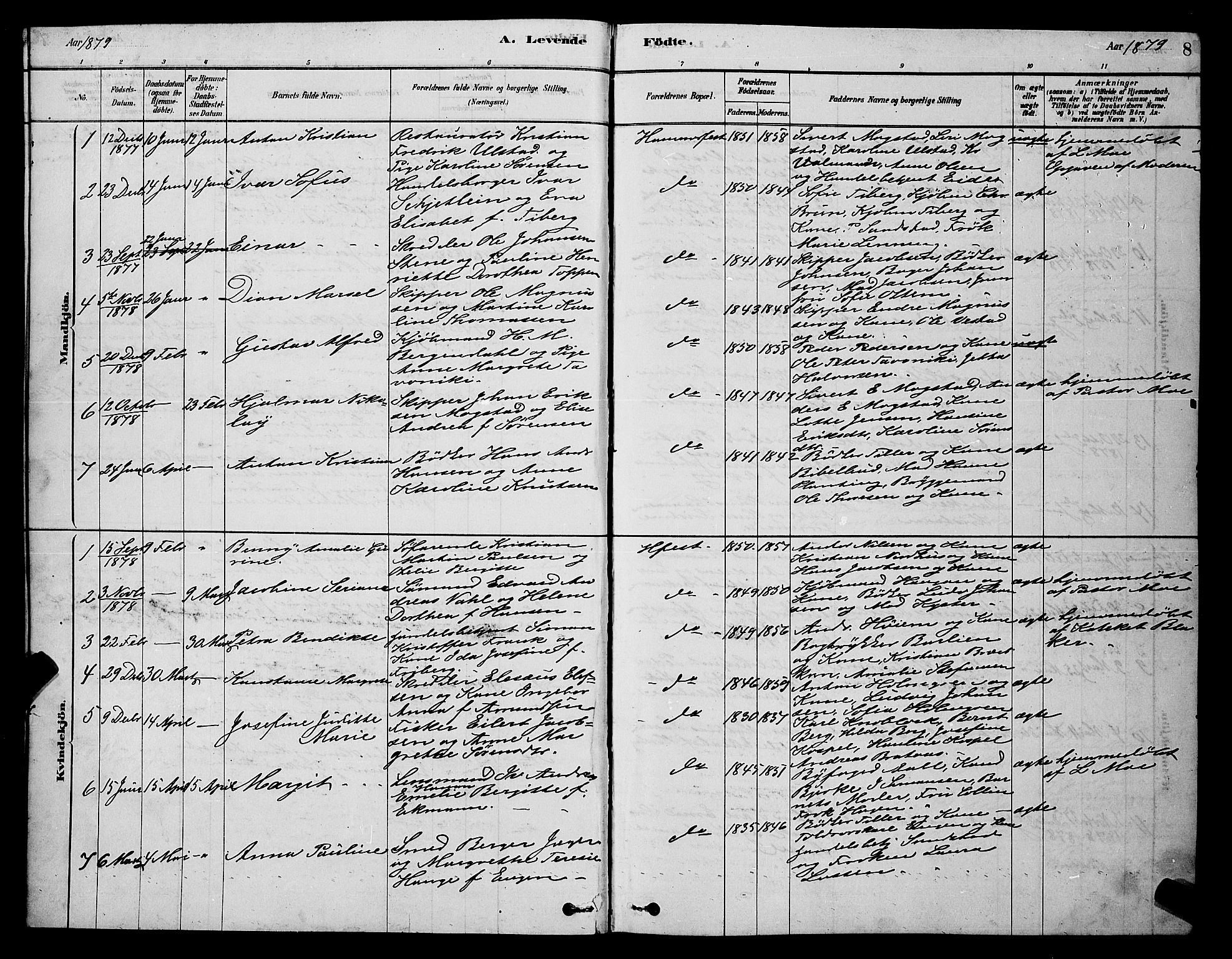 Hammerfest sokneprestkontor, AV/SATØ-S-1347/H/Hb/L0006.klokk: Parish register (copy) no. 6, 1876-1884, p. 8