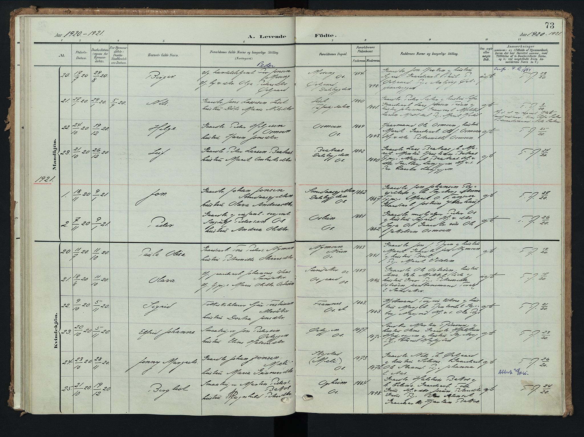 Tolga prestekontor, AV/SAH-PREST-062/K/L0009: Parish register (official) no. 9, 1903-1928, p. 73