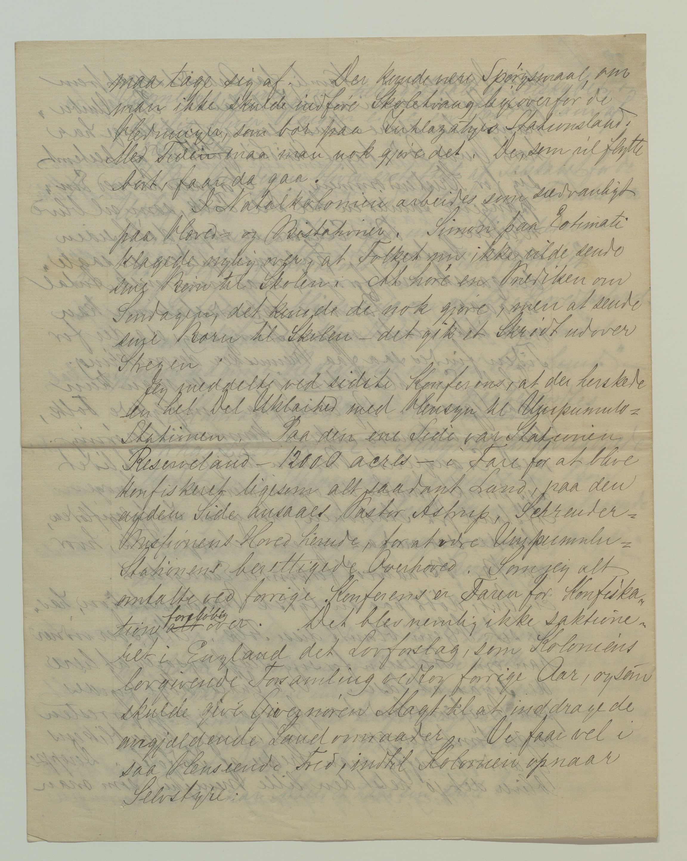 Det Norske Misjonsselskap - hovedadministrasjonen, VID/MA-A-1045/D/Da/Daa/L0037/0012: Konferansereferat og årsberetninger / Konferansereferat fra Sør-Afrika., 1889