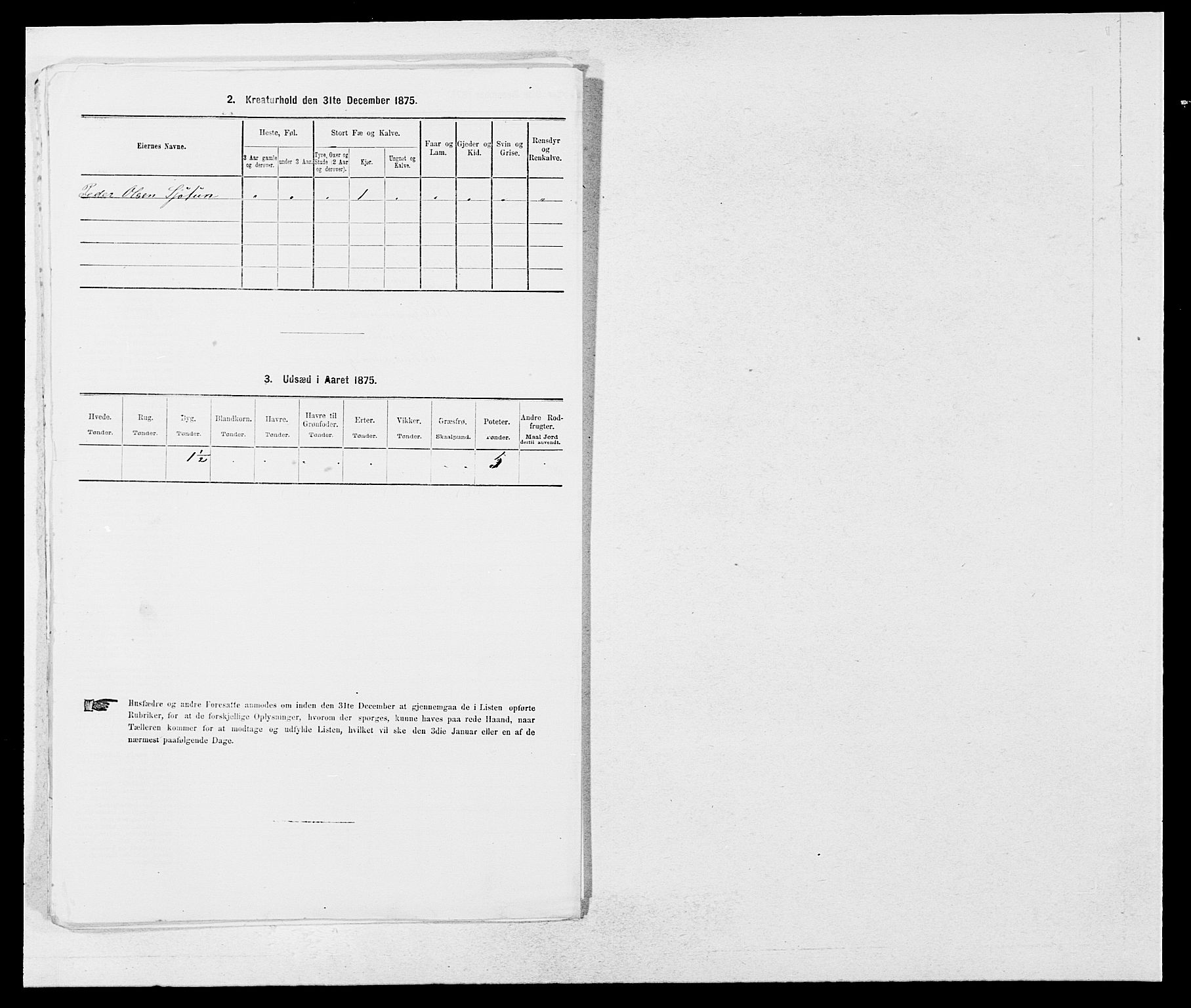 SAB, 1875 census for 1425P Hafslo, 1875, p. 556