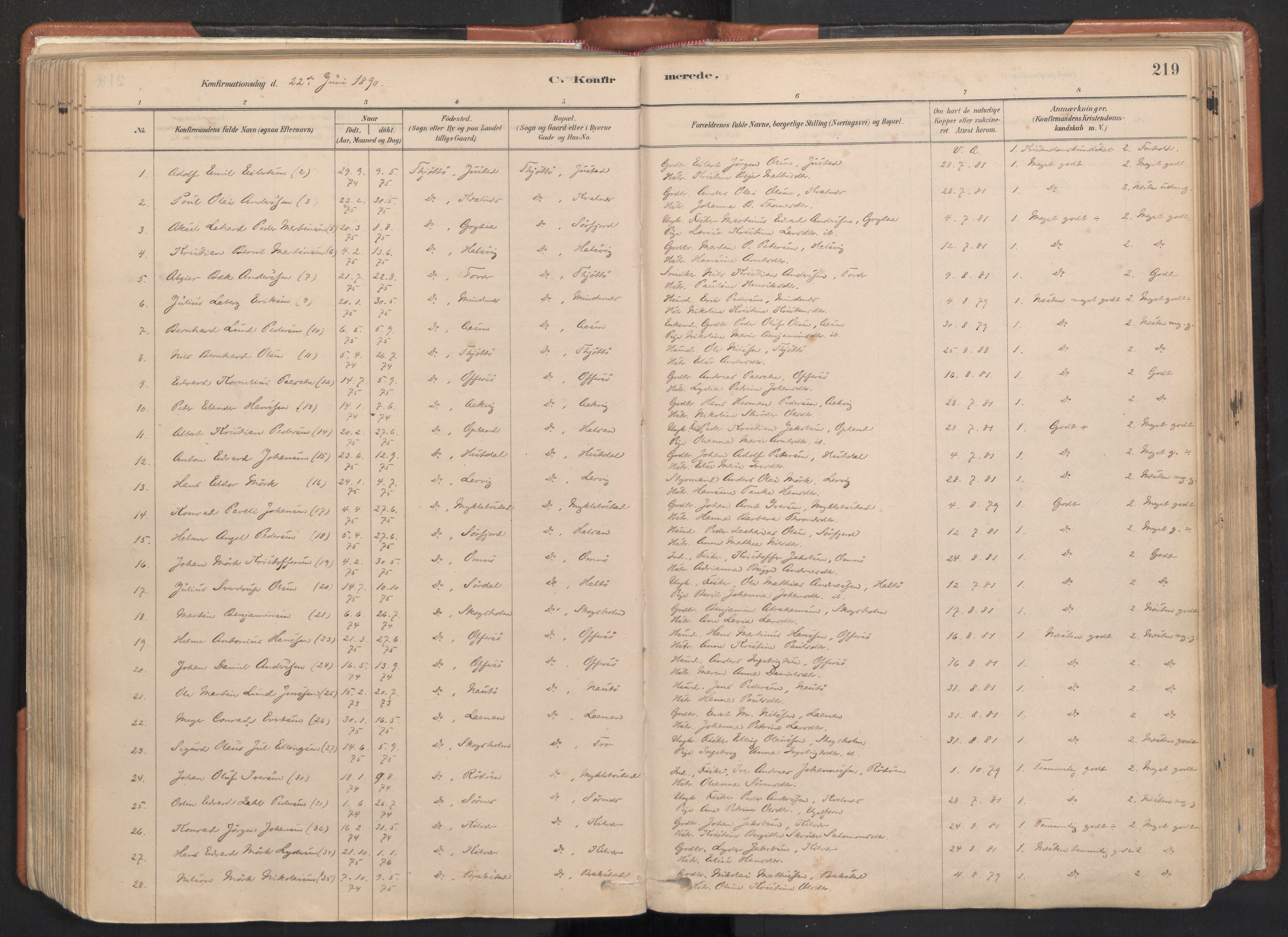 Ministerialprotokoller, klokkerbøker og fødselsregistre - Nordland, SAT/A-1459/817/L0264: Parish register (official) no. 817A04, 1878-1907, p. 219