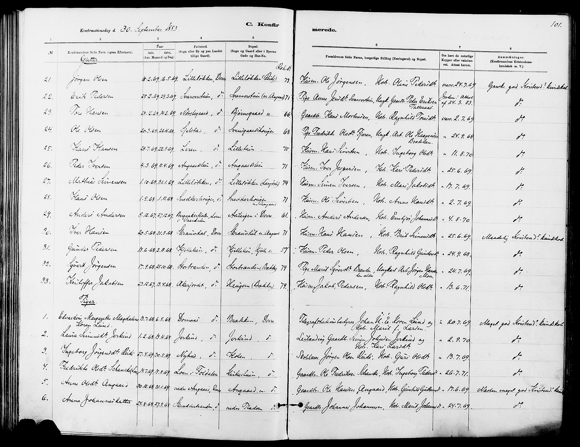 Dovre prestekontor, SAH/PREST-066/H/Ha/Haa/L0002: Parish register (official) no. 2, 1879-1890, p. 101