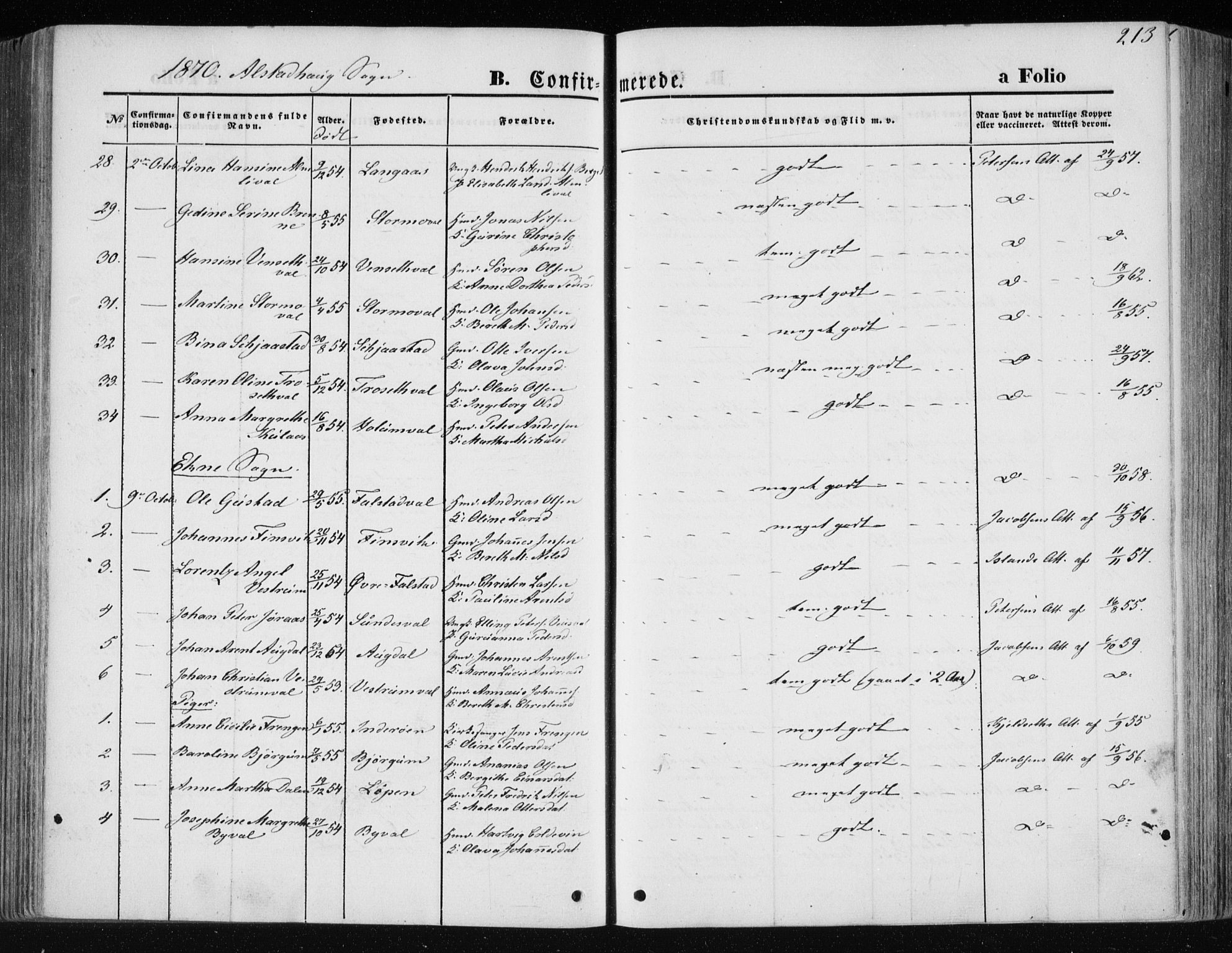 Ministerialprotokoller, klokkerbøker og fødselsregistre - Nord-Trøndelag, AV/SAT-A-1458/717/L0157: Parish register (official) no. 717A08 /1, 1863-1877, p. 213