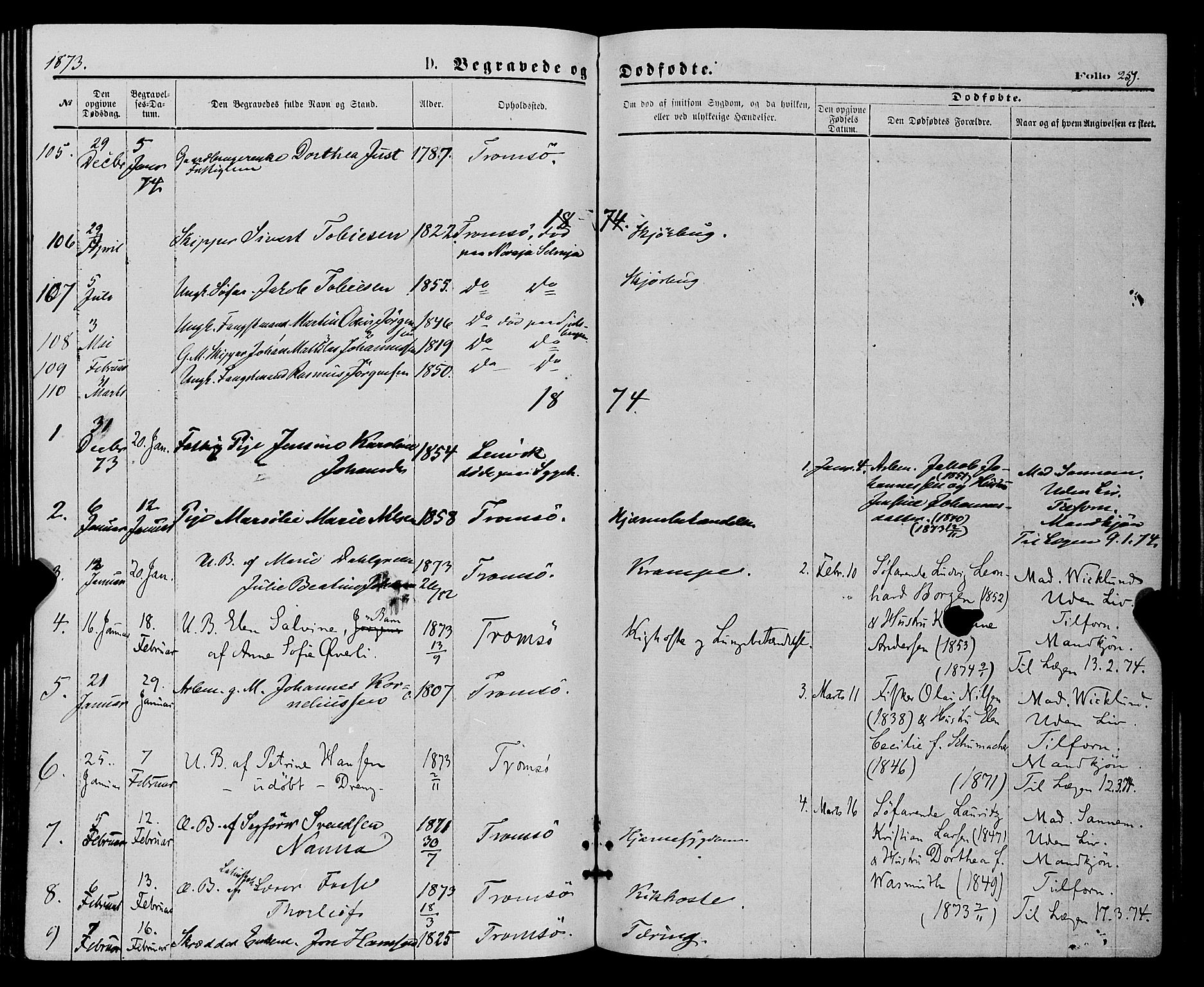 Tromsø sokneprestkontor/stiftsprosti/domprosti, SATØ/S-1343/G/Ga/L0013kirke: Parish register (official) no. 13, 1872-1877, p. 251