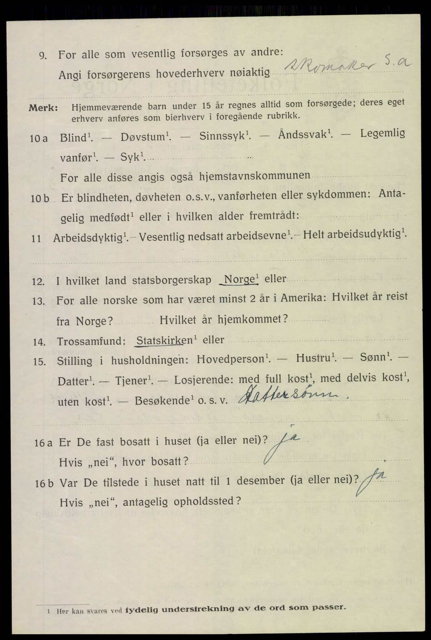 SAH, 1920 census for Vang (Hedmark), 1920, p. 17026