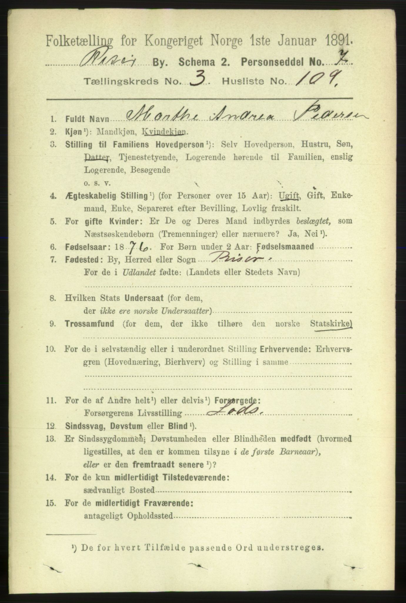 RA, 1891 census for 0901 Risør, 1891, p. 3971