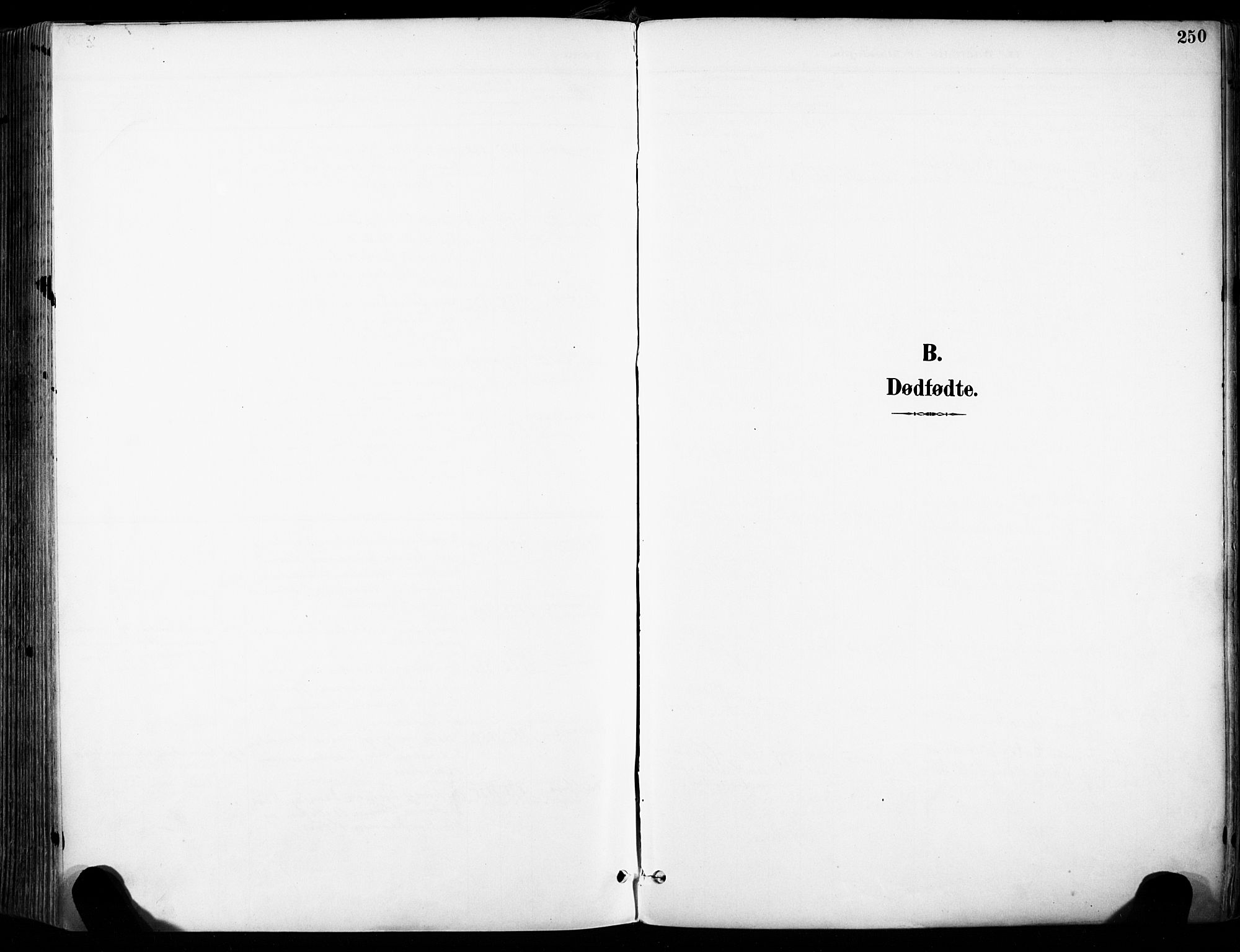 Sandar kirkebøker, SAKO/A-243/F/Fa/L0014: Parish register (official) no. 14, 1896-1909, p. 250