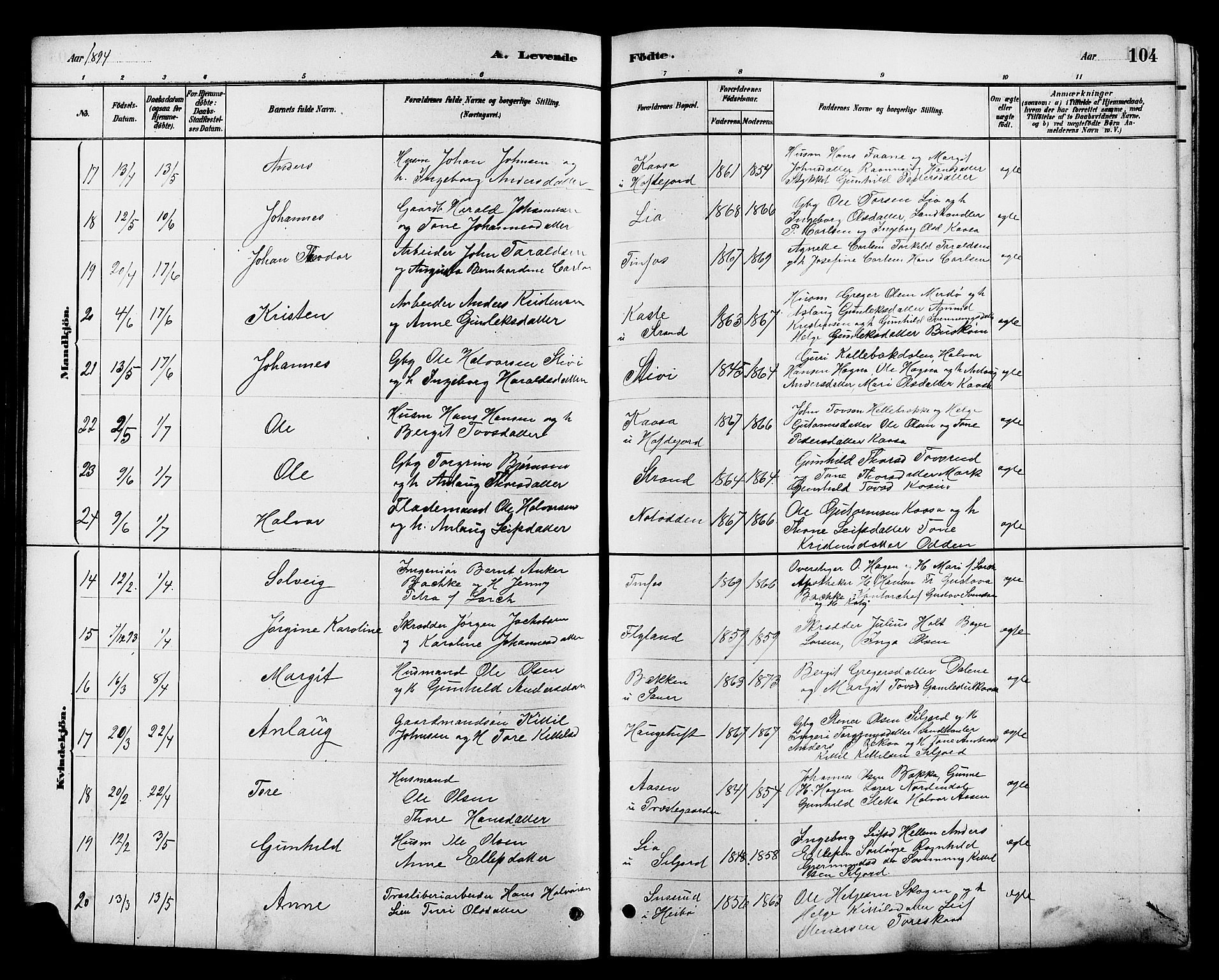 Heddal kirkebøker, AV/SAKO-A-268/G/Ga/L0002: Parish register (copy) no. I 2, 1879-1908, p. 104