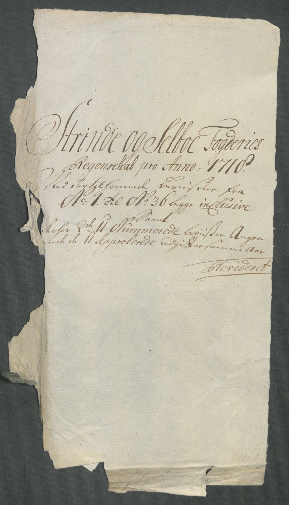 Rentekammeret inntil 1814, Reviderte regnskaper, Fogderegnskap, AV/RA-EA-4092/R61/L4116: Fogderegnskap Strinda og Selbu, 1717-1718, p. 284