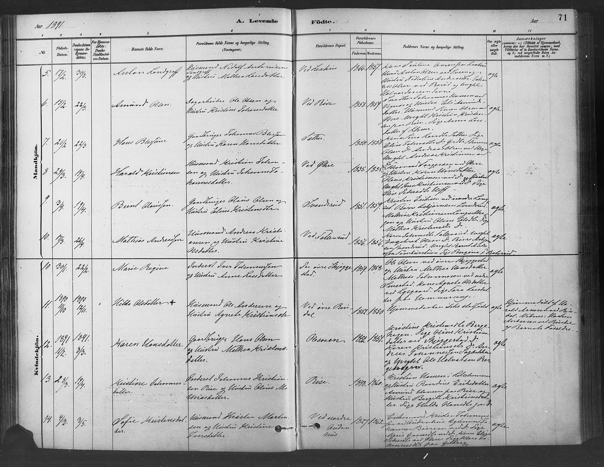 Fåberg prestekontor, SAH/PREST-086/H/Ha/Haa/L0009: Parish register (official) no. 9, 1879-1898, p. 71