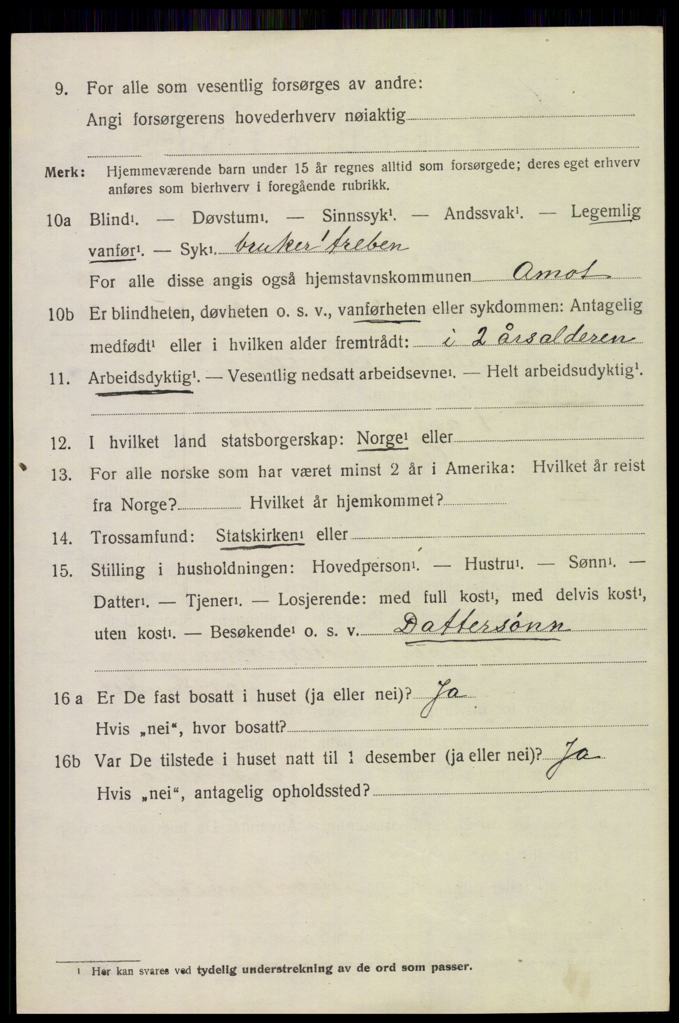 SAH, 1920 census for Åmot, 1920, p. 10882