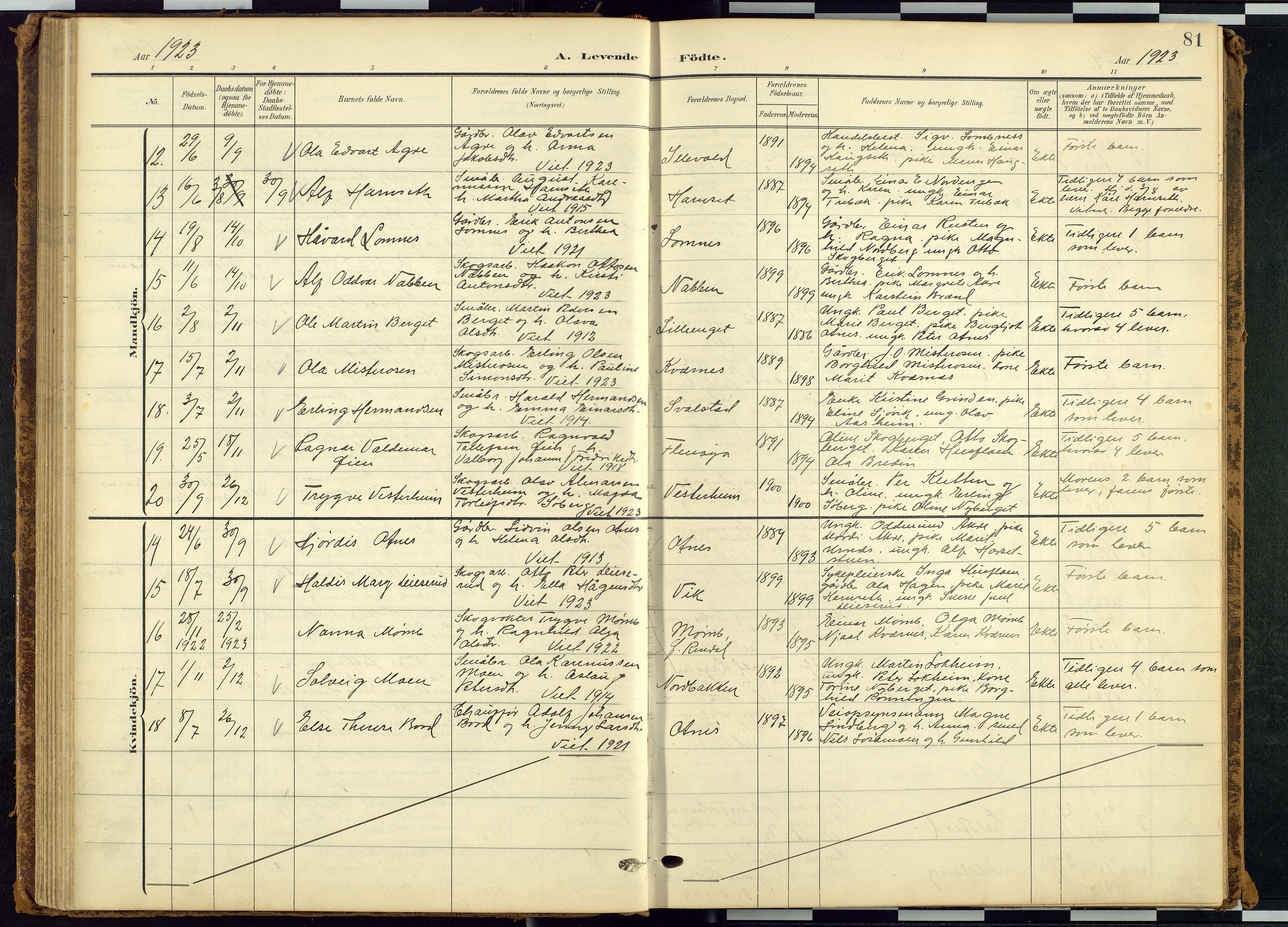 Rendalen prestekontor, AV/SAH-PREST-054/H/Ha/Hab/L0010: Parish register (copy) no. 10, 1903-1940, p. 81