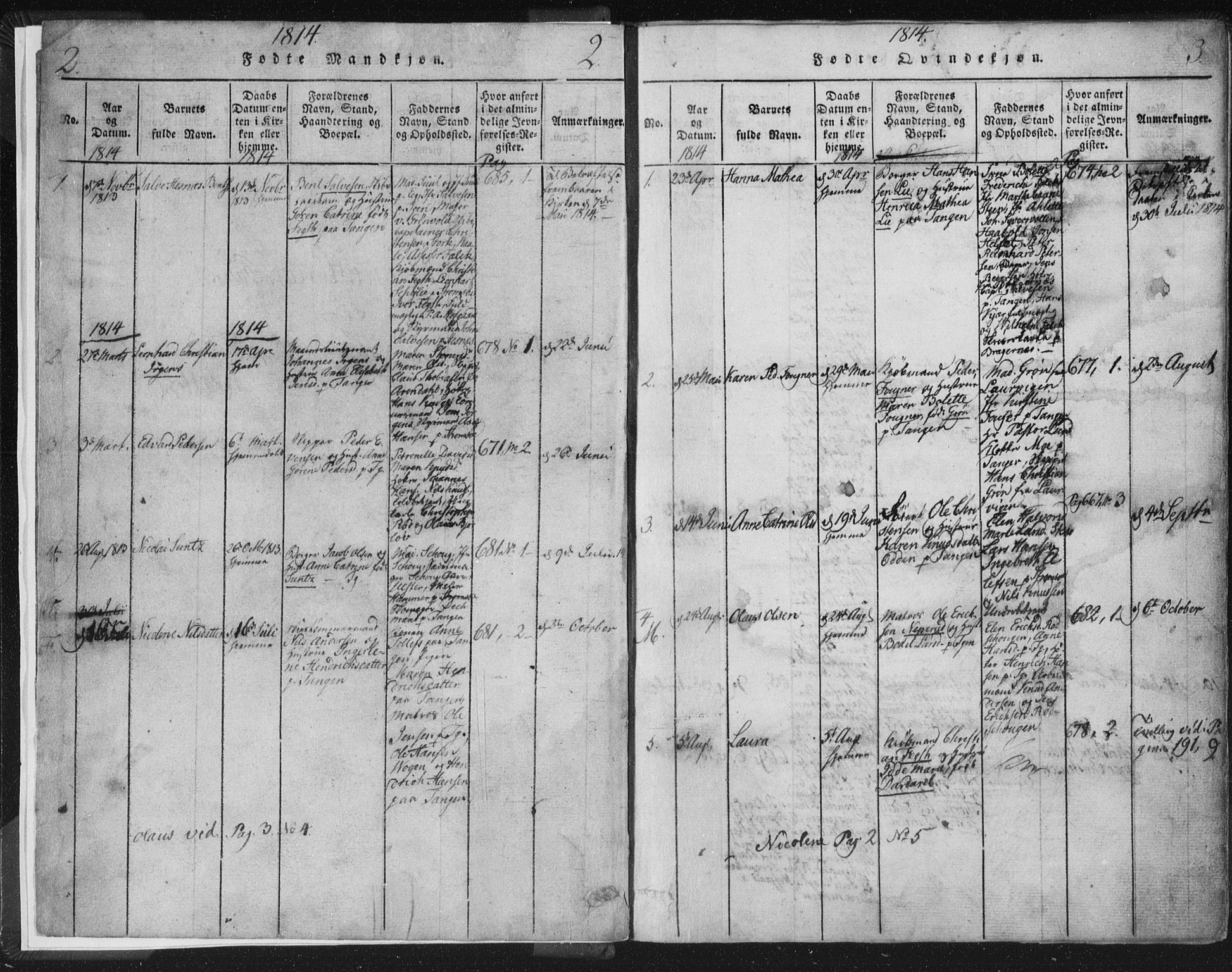 Strømsø kirkebøker, SAKO/A-246/F/Fb/L0004: Parish register (official) no. II 4, 1814-1843, p. 2-3