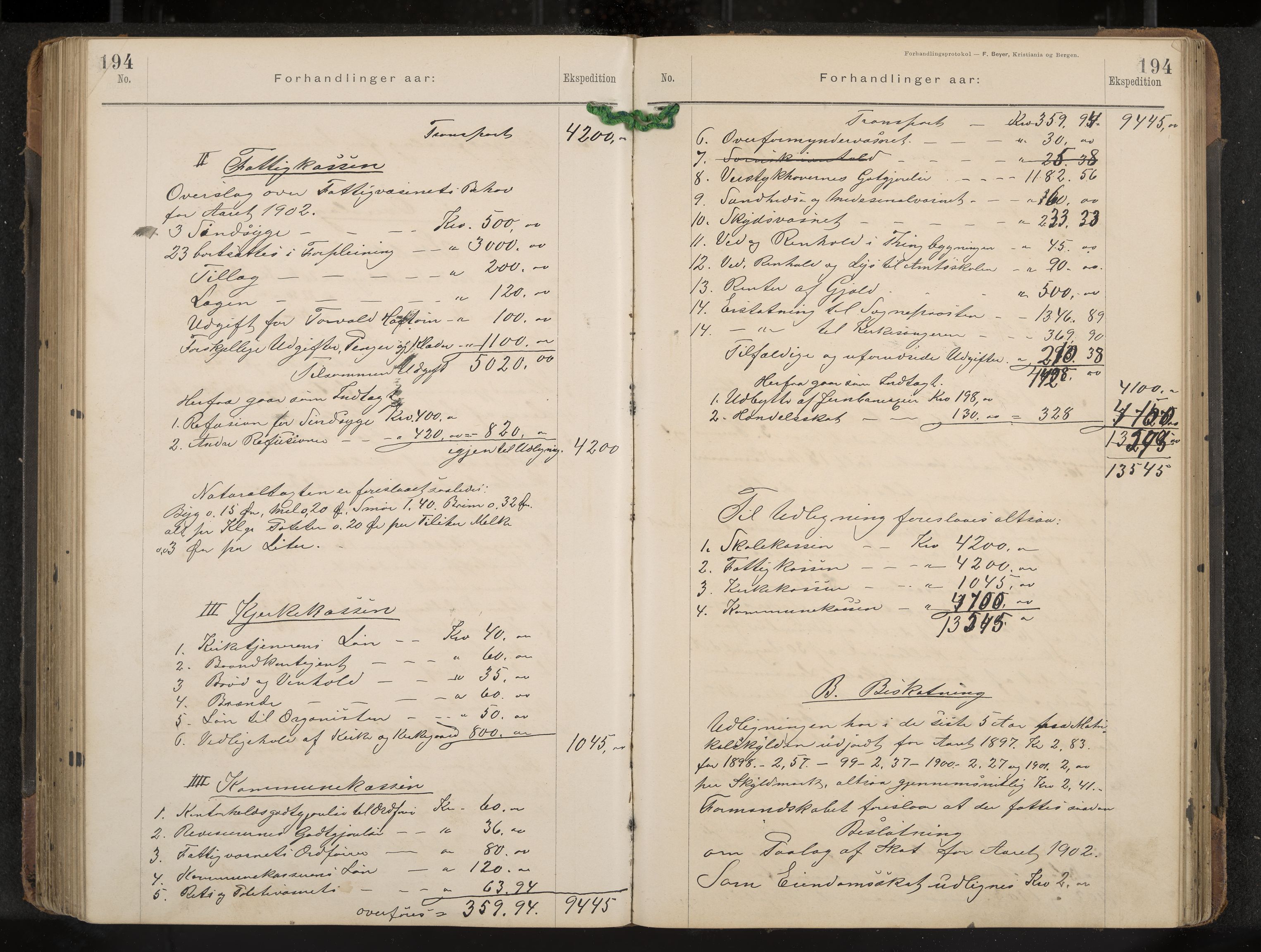 Gol formannskap og sentraladministrasjon, IKAK/0617021-1/A/Aa/L0003: Møtebok, 1892-1905, p. 194
