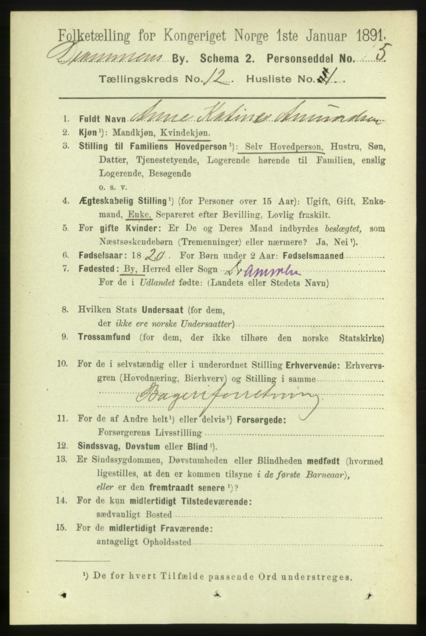 RA, 1891 census for 0602 Drammen, 1891, p. 8964