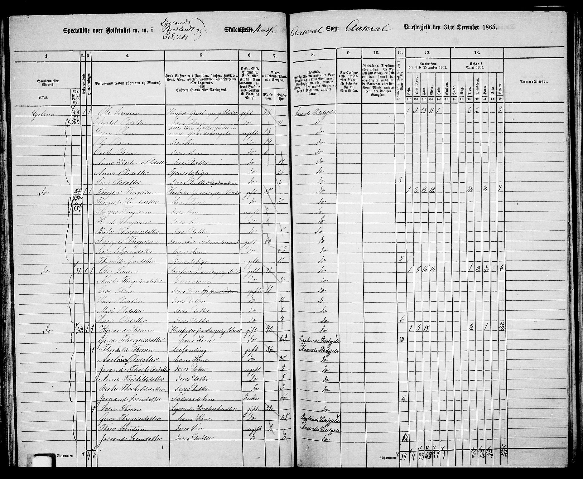 RA, 1865 census for Åseral, 1865, p. 58