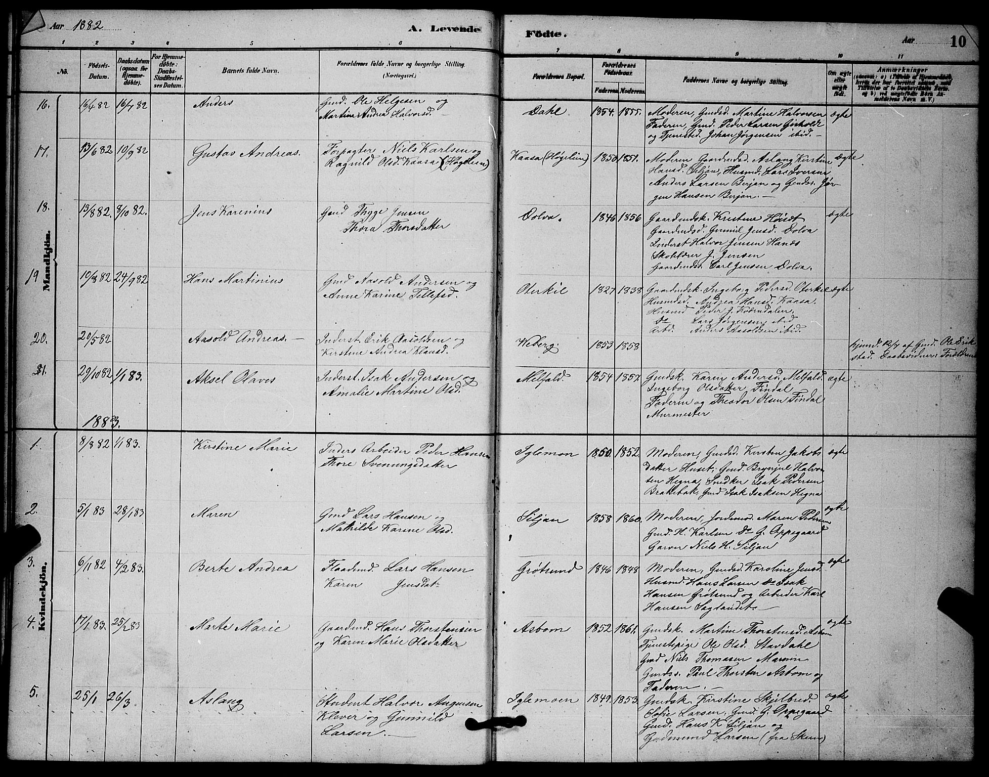 Solum kirkebøker, SAKO/A-306/G/Gb/L0003: Parish register (copy) no. II 3, 1880-1898, p. 10