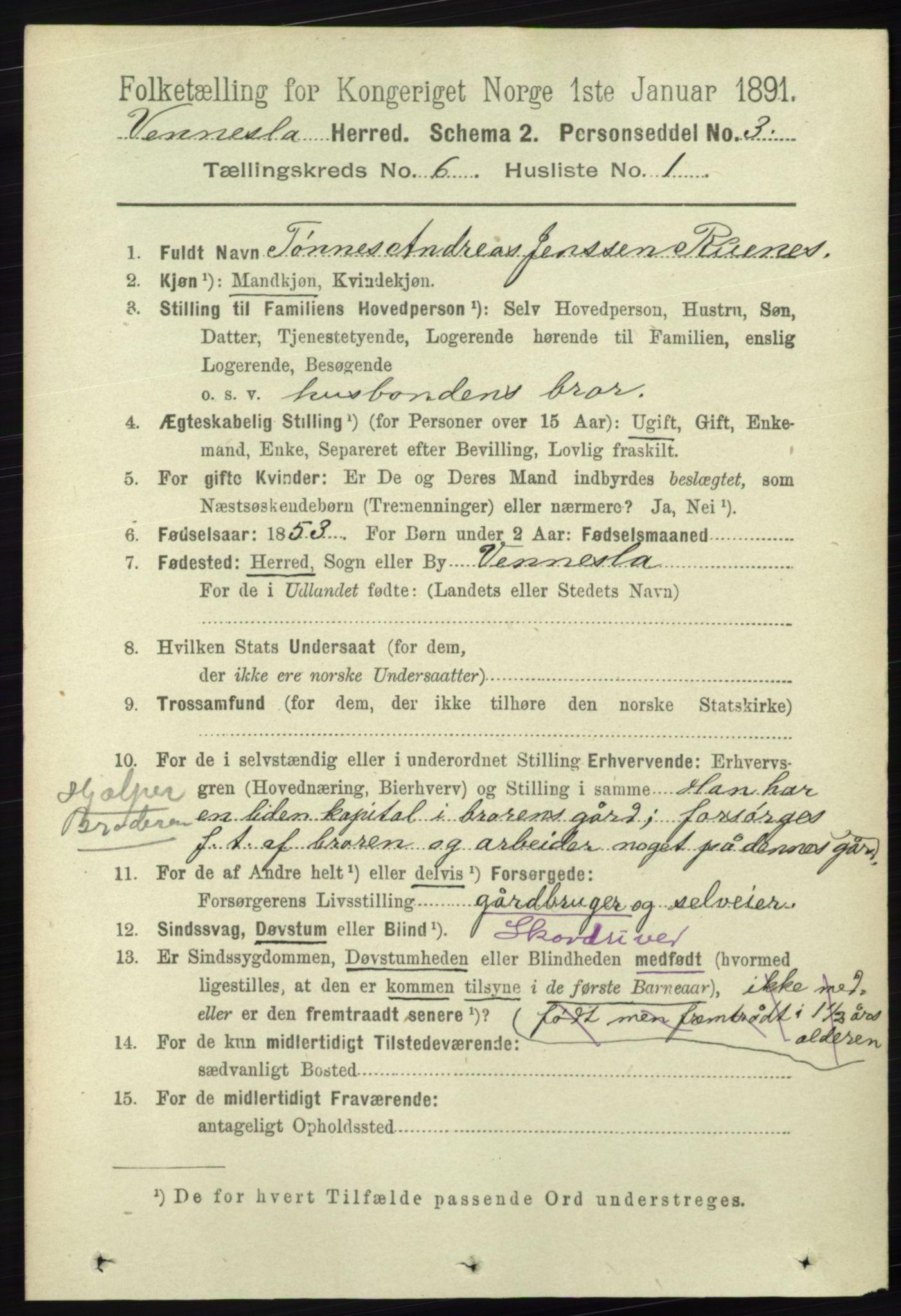 RA, 1891 census for 1014 Vennesla, 1891, p. 1595