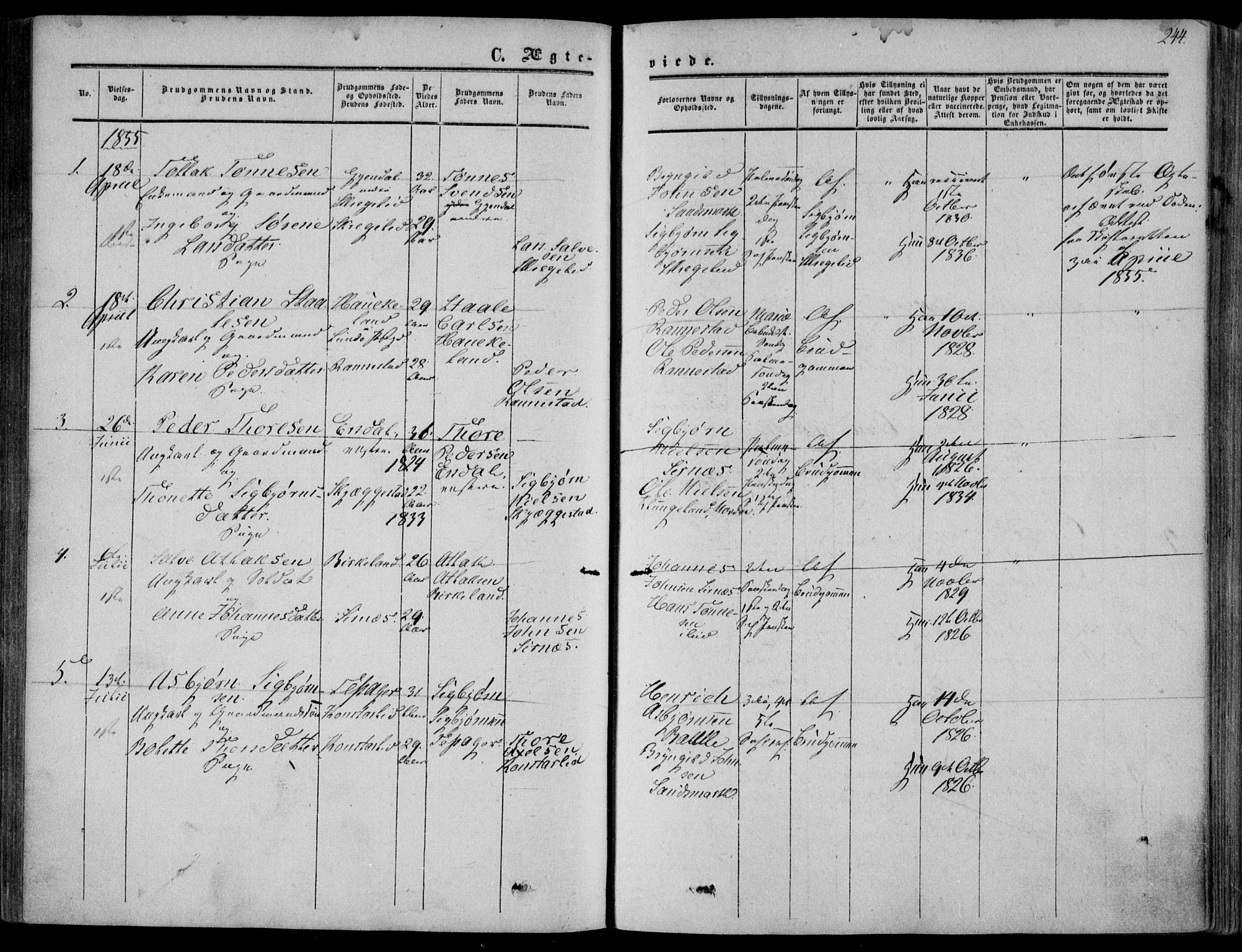 Bakke sokneprestkontor, SAK/1111-0002/F/Fa/Faa/L0006: Parish register (official) no. A 6, 1855-1877, p. 244