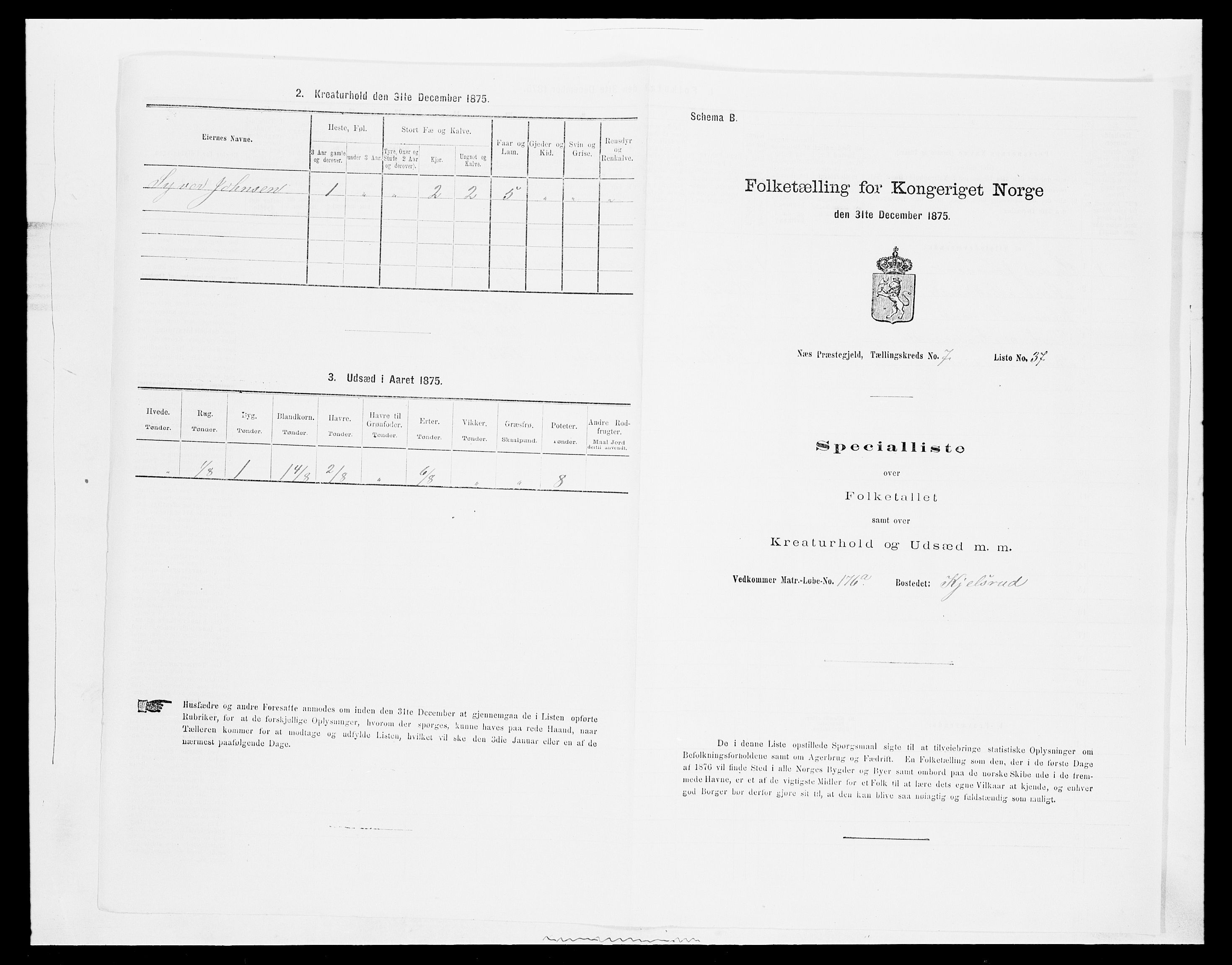 SAH, 1875 census for 0411P Nes, 1875, p. 1273