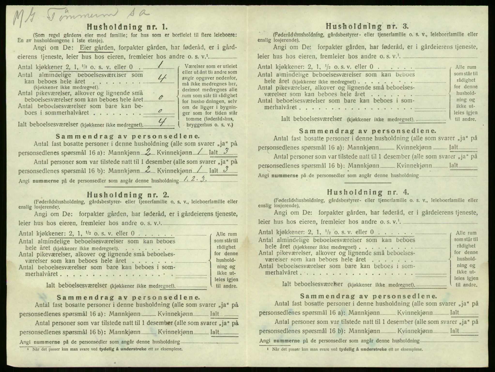 SAKO, 1920 census for Nøtterøy, 1920, p. 917