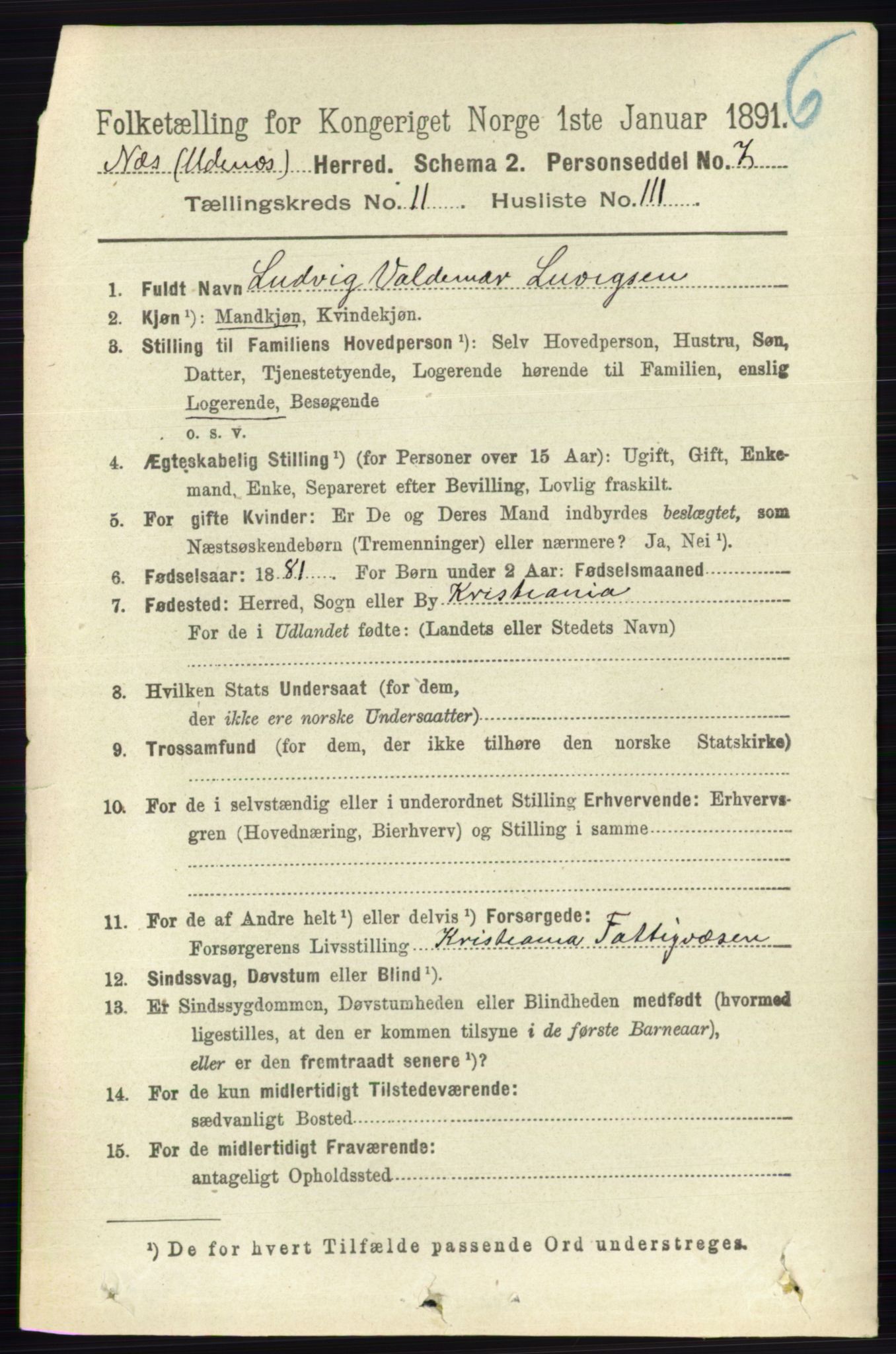 RA, 1891 census for 0236 Nes, 1891, p. 7006