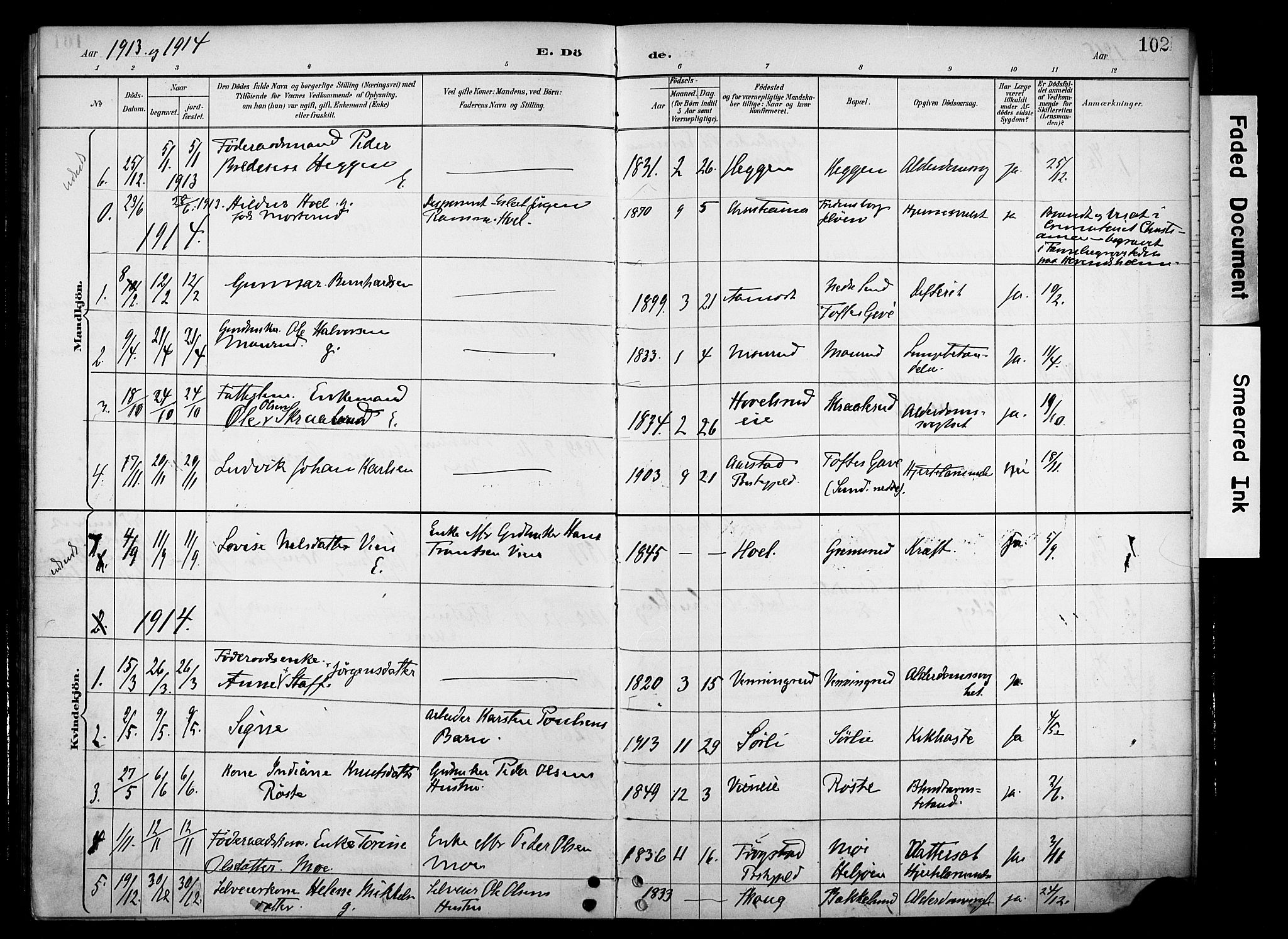 Nes prestekontor, Hedmark, AV/SAH-PREST-020/K/Ka/L0012: Parish register (official) no. 12, 1906-1920, p. 102