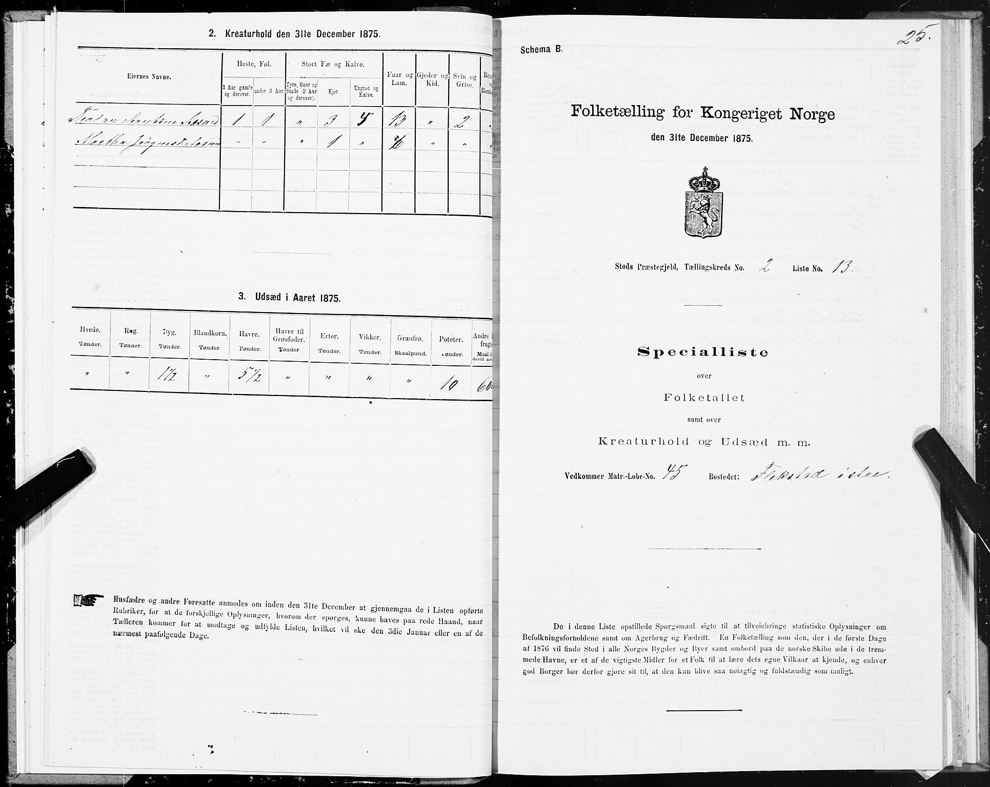 SAT, 1875 census for 1734P Stod, 1875, p. 2025