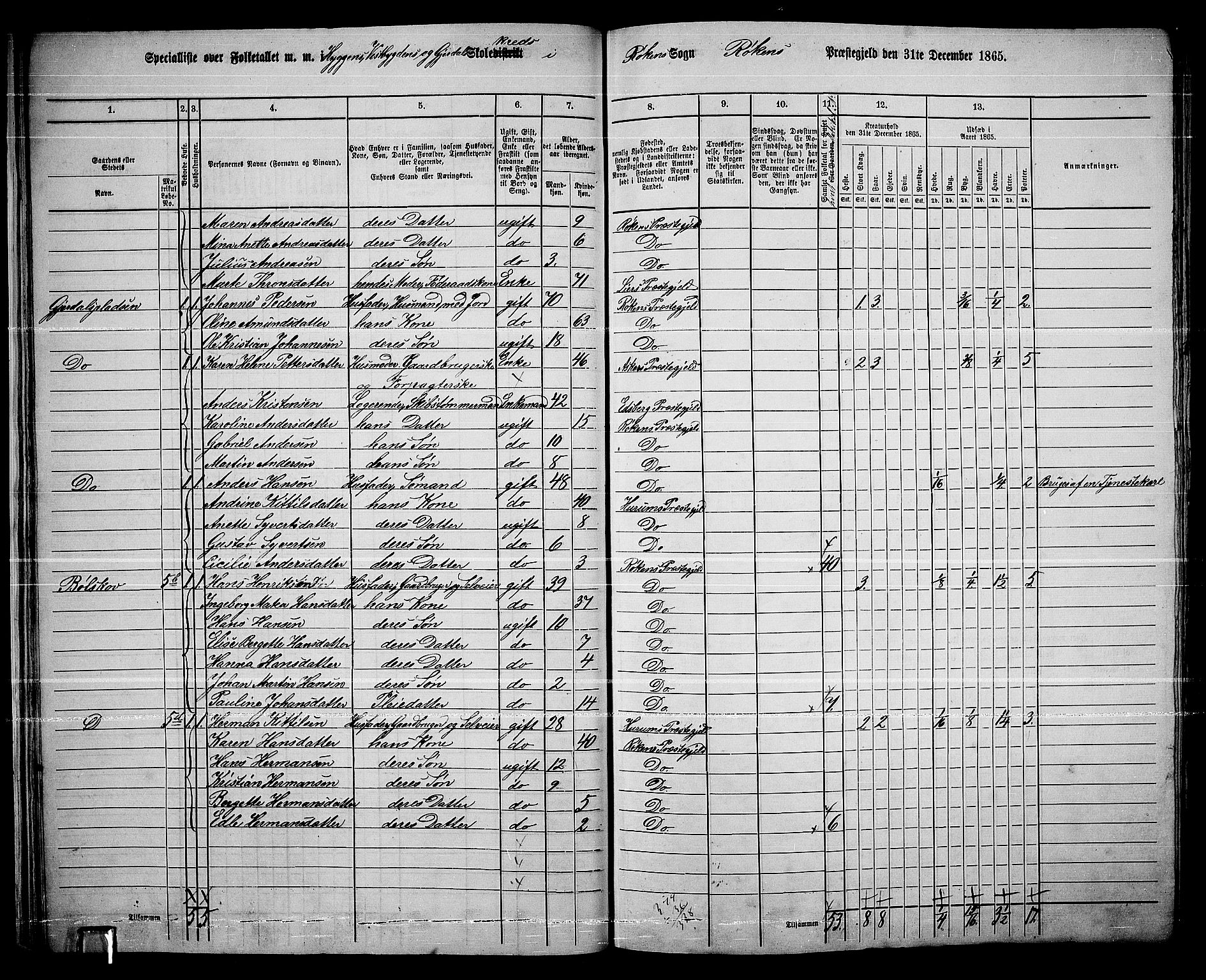 RA, 1865 census for Røyken, 1865, p. 34