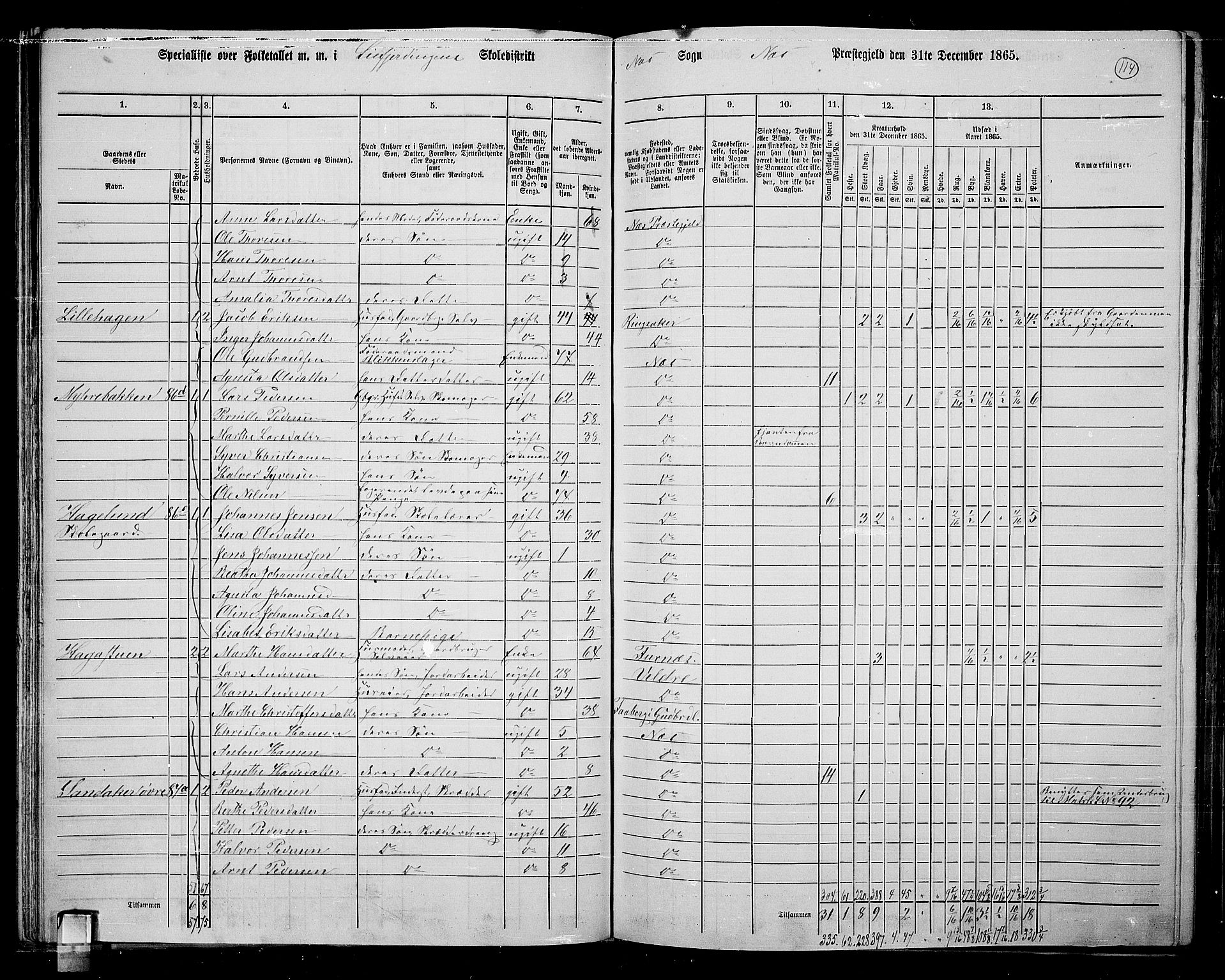 RA, 1865 census for Nes, 1865, p. 99