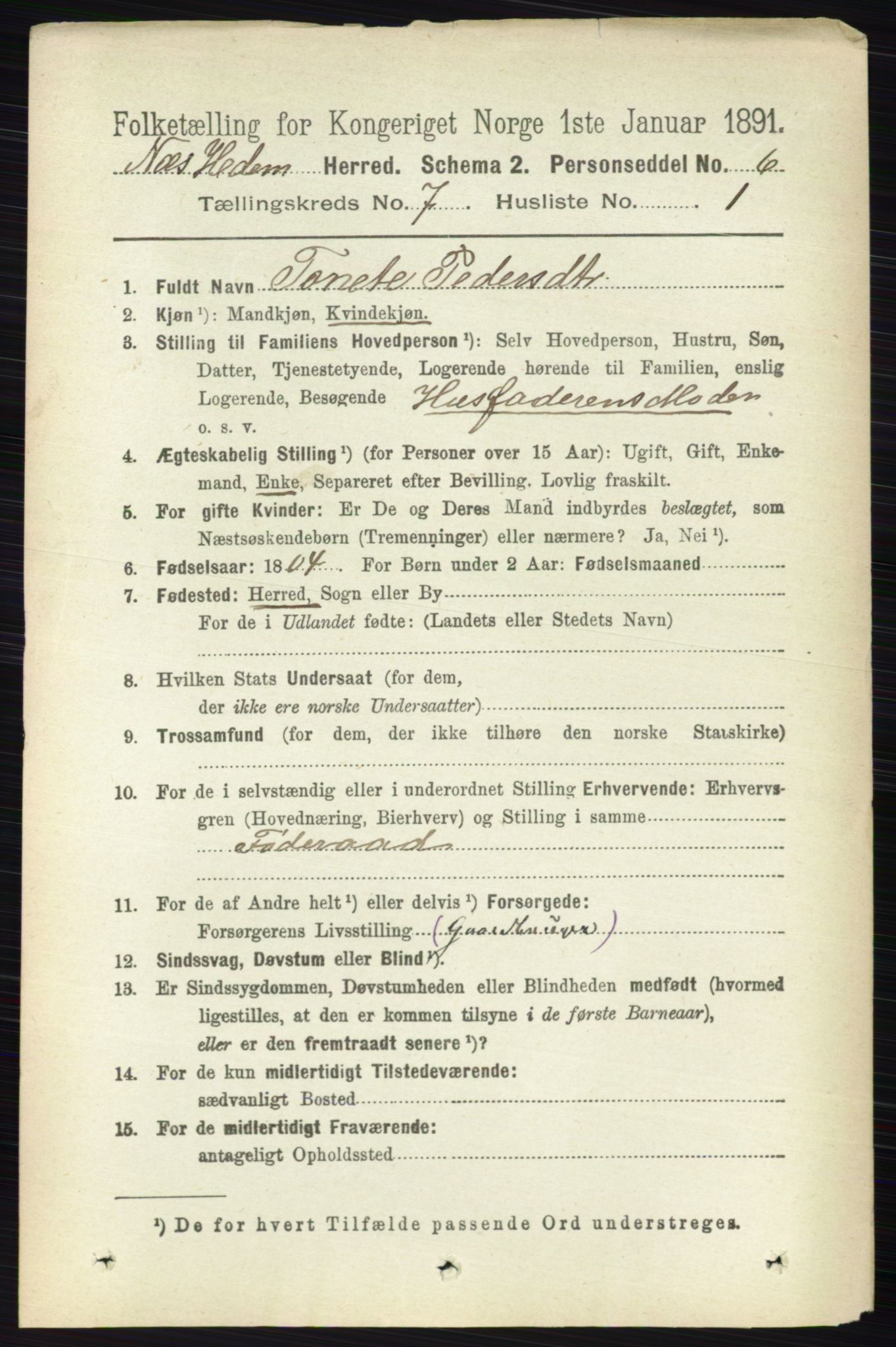 RA, 1891 census for 0411 Nes, 1891, p. 3930