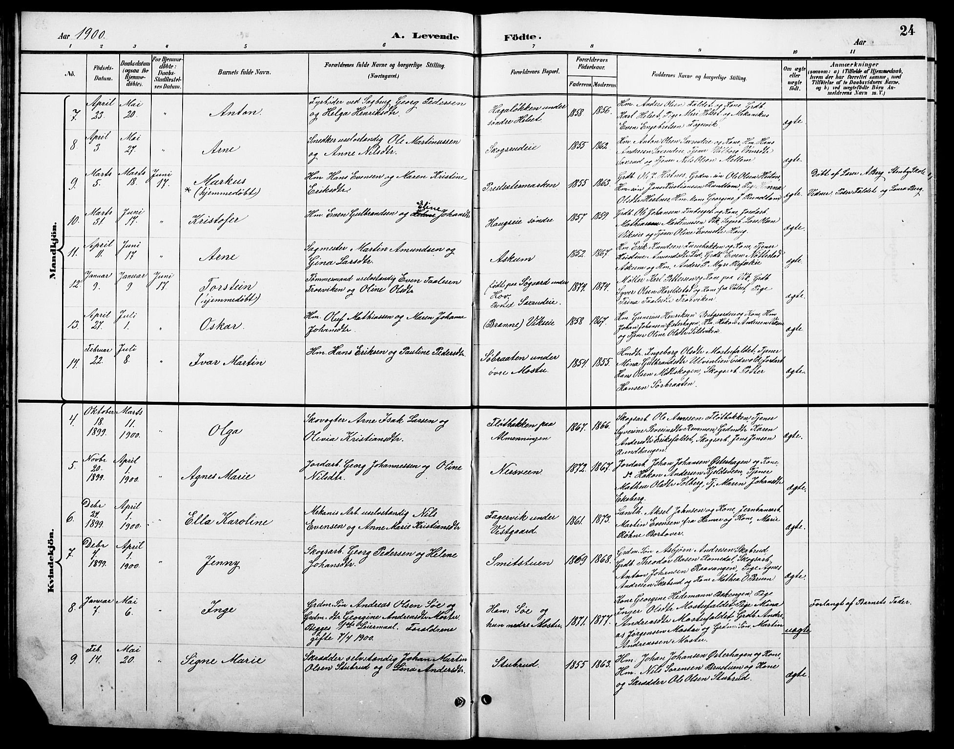 Stange prestekontor, AV/SAH-PREST-002/L/L0011: Parish register (copy) no. 11, 1895-1917, p. 24