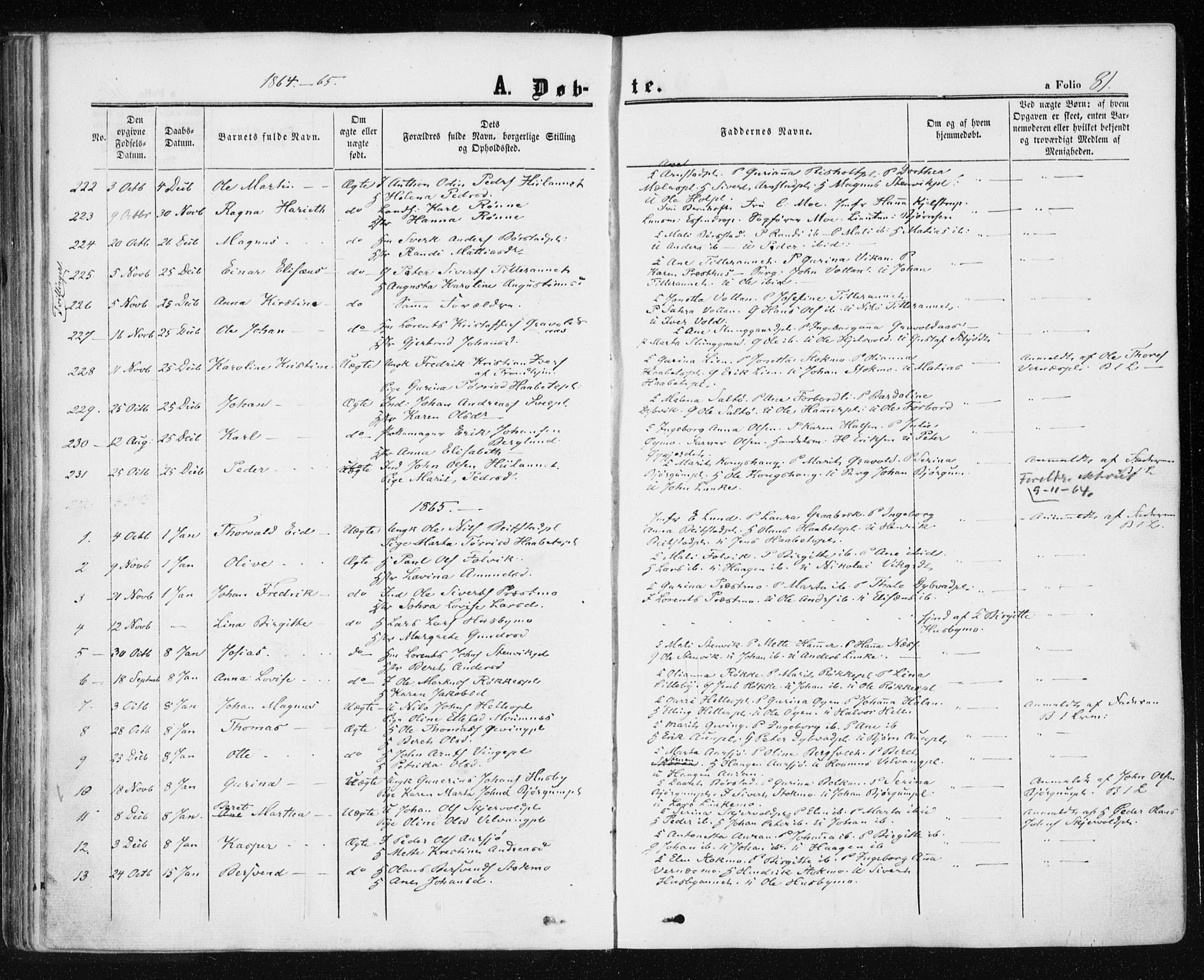 Ministerialprotokoller, klokkerbøker og fødselsregistre - Nord-Trøndelag, SAT/A-1458/709/L0075: Parish register (official) no. 709A15, 1859-1870, p. 81