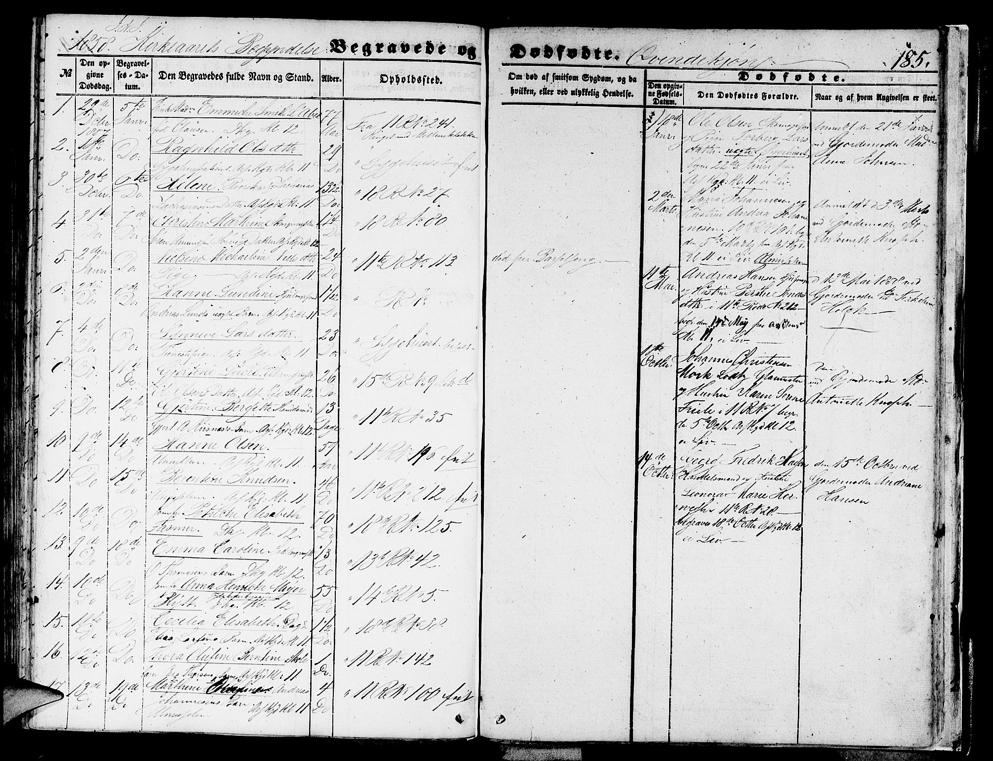 Domkirken sokneprestembete, SAB/A-74801/H/Hab/L0038: Parish register (copy) no. E 2, 1847-1859, p. 185