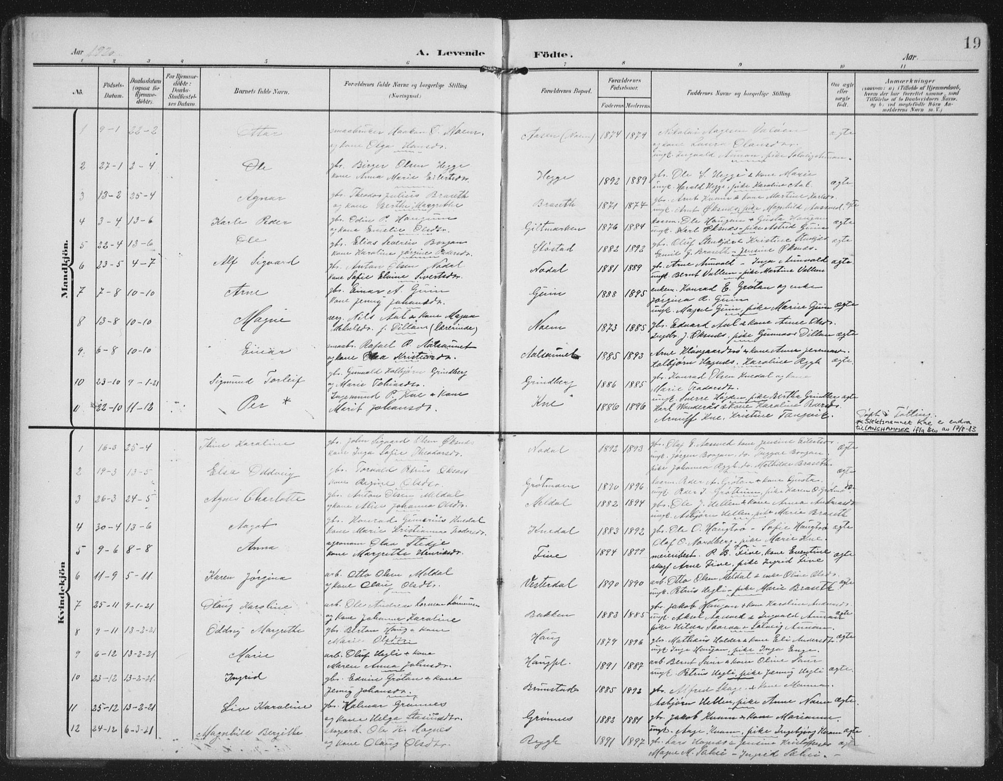 Ministerialprotokoller, klokkerbøker og fødselsregistre - Nord-Trøndelag, SAT/A-1458/747/L0460: Parish register (copy) no. 747C02, 1908-1939, p. 19