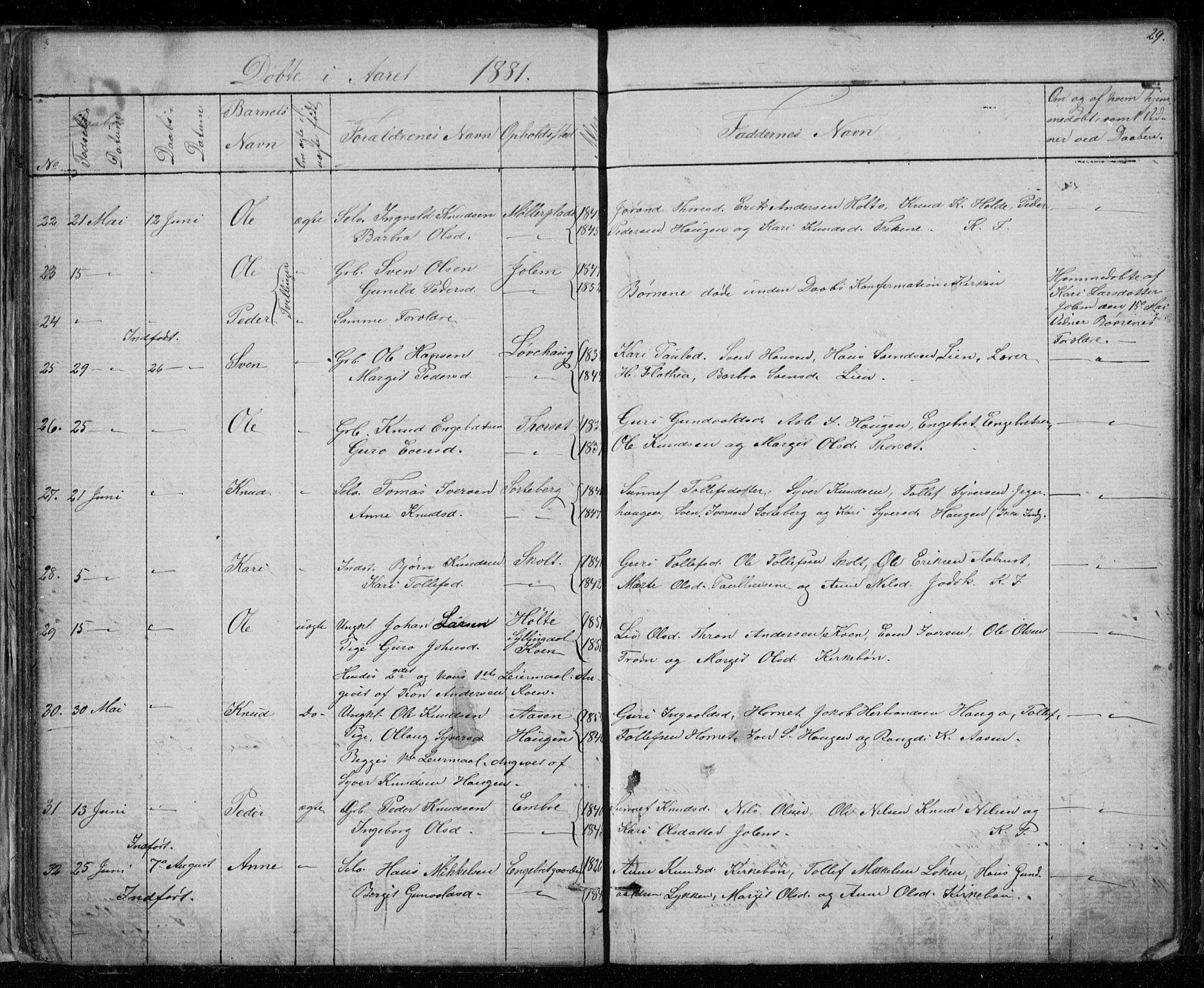 Gol kirkebøker, AV/SAKO-A-226/G/Gb/L0005: Parish register (copy) no. II 5, 1875-1891, p. 29