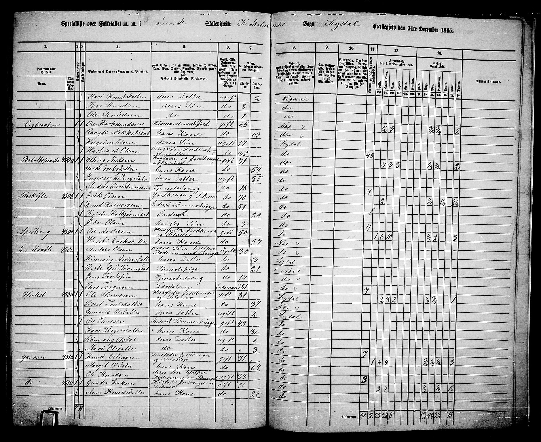 RA, 1865 census for Sigdal, 1865, p. 271