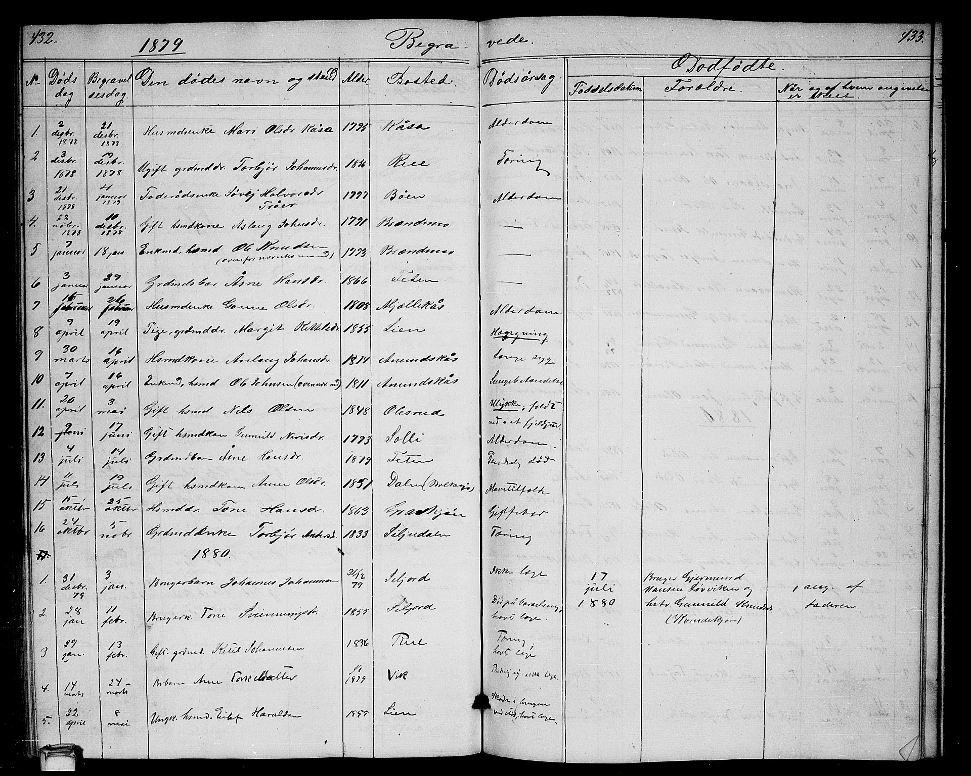 Gransherad kirkebøker, SAKO/A-267/G/Ga/L0002: Parish register (copy) no. I 2, 1854-1886, p. 432-433