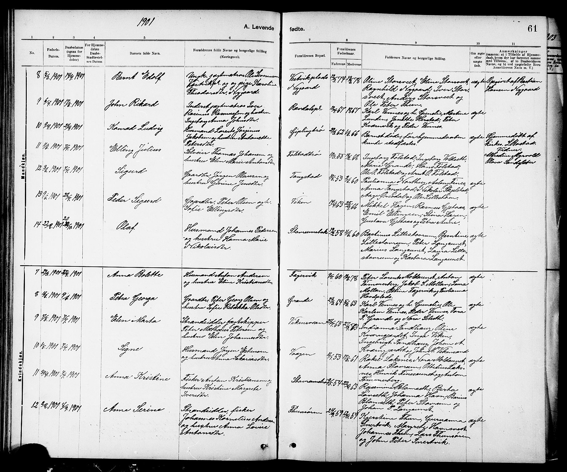 Ministerialprotokoller, klokkerbøker og fødselsregistre - Nord-Trøndelag, SAT/A-1458/744/L0423: Parish register (copy) no. 744C02, 1886-1905, p. 61