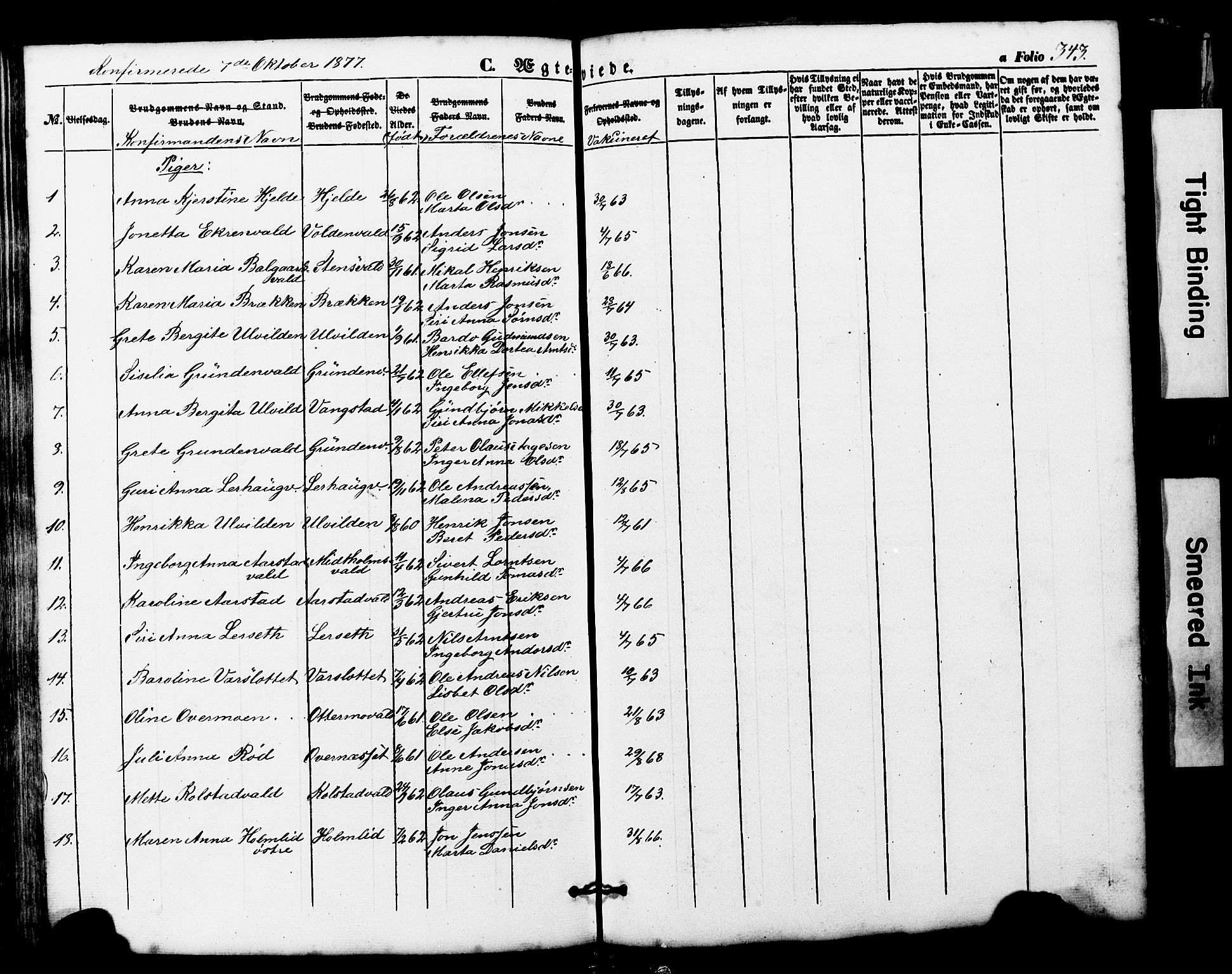 Ministerialprotokoller, klokkerbøker og fødselsregistre - Nord-Trøndelag, AV/SAT-A-1458/724/L0268: Parish register (copy) no. 724C04, 1846-1878, p. 343