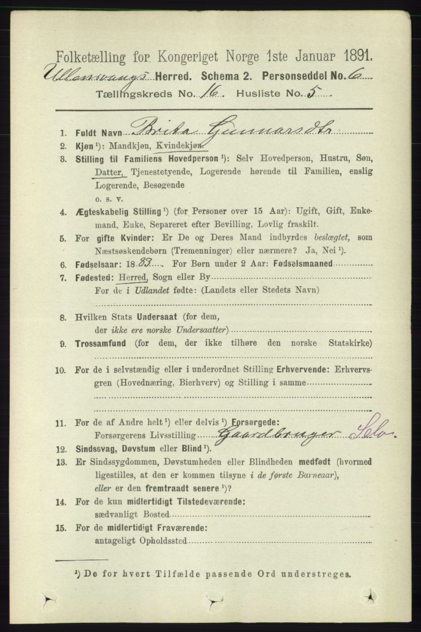 RA, 1891 census for 1230 Ullensvang, 1891, p. 6261