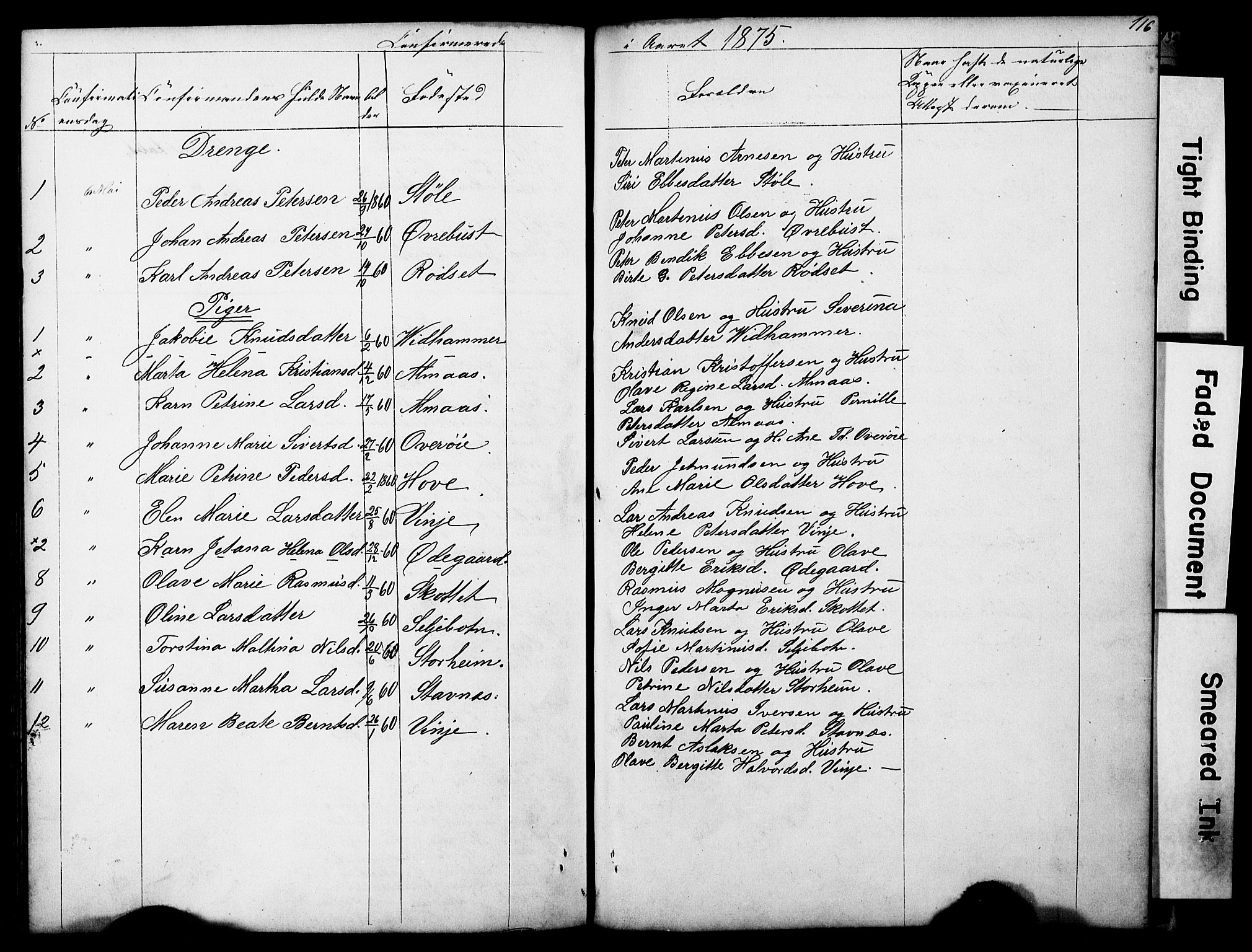 Ministerialprotokoller, klokkerbøker og fødselsregistre - Møre og Romsdal, AV/SAT-A-1454/521/L0301: Parish register (copy) no. 521C02, 1854-1881, p. 116