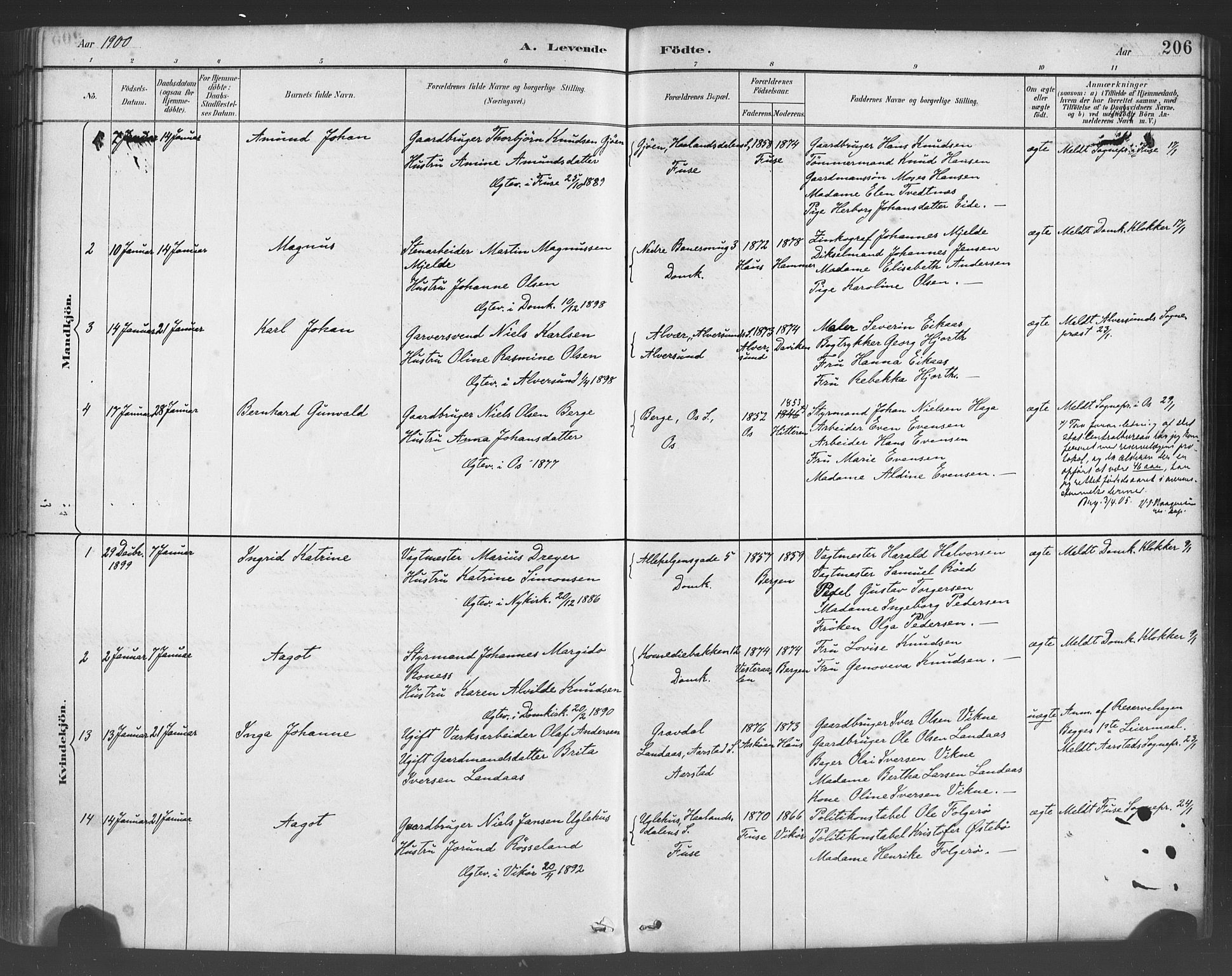 Fødselsstiftelsens sokneprestembete*, SAB/-: Parish register (official) no. A 2, 1884-1900, p. 206