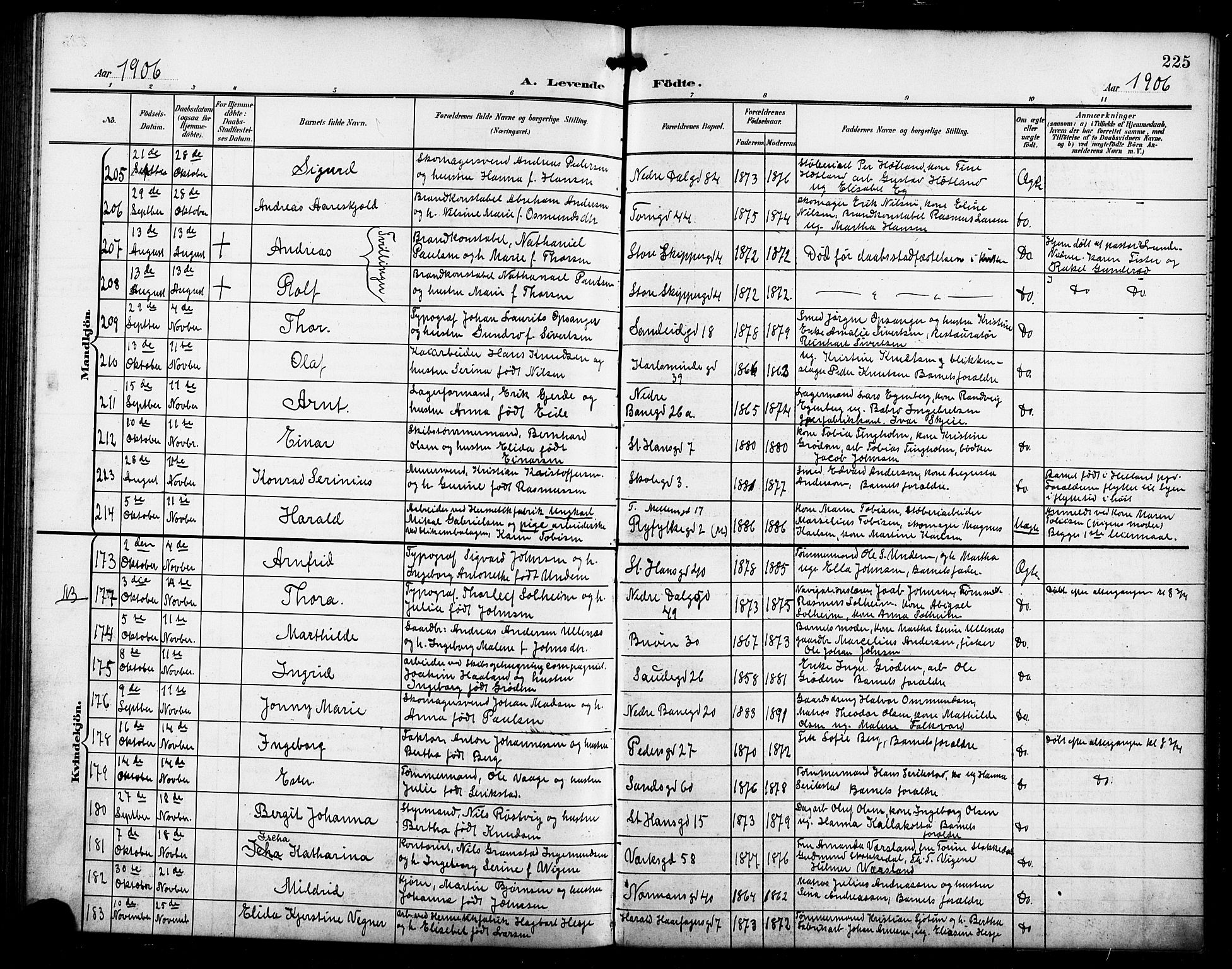 St. Johannes sokneprestkontor, AV/SAST-A-101814/001/30/30BB/L0004: Parish register (copy) no. B 4, 1900-1907, p. 225