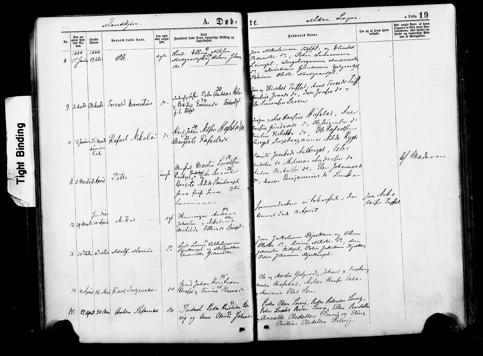 Ministerialprotokoller, klokkerbøker og fødselsregistre - Nord-Trøndelag, AV/SAT-A-1458/735/L0348: Parish register (official) no. 735A09 /1, 1873-1883, p. 19