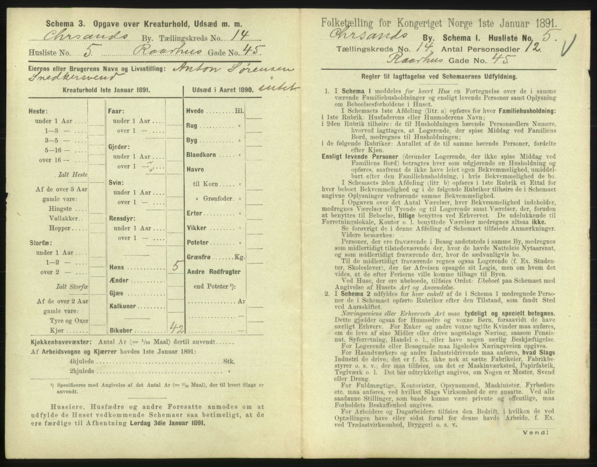 RA, 1891 census for 1001 Kristiansand, 1891, p. 896