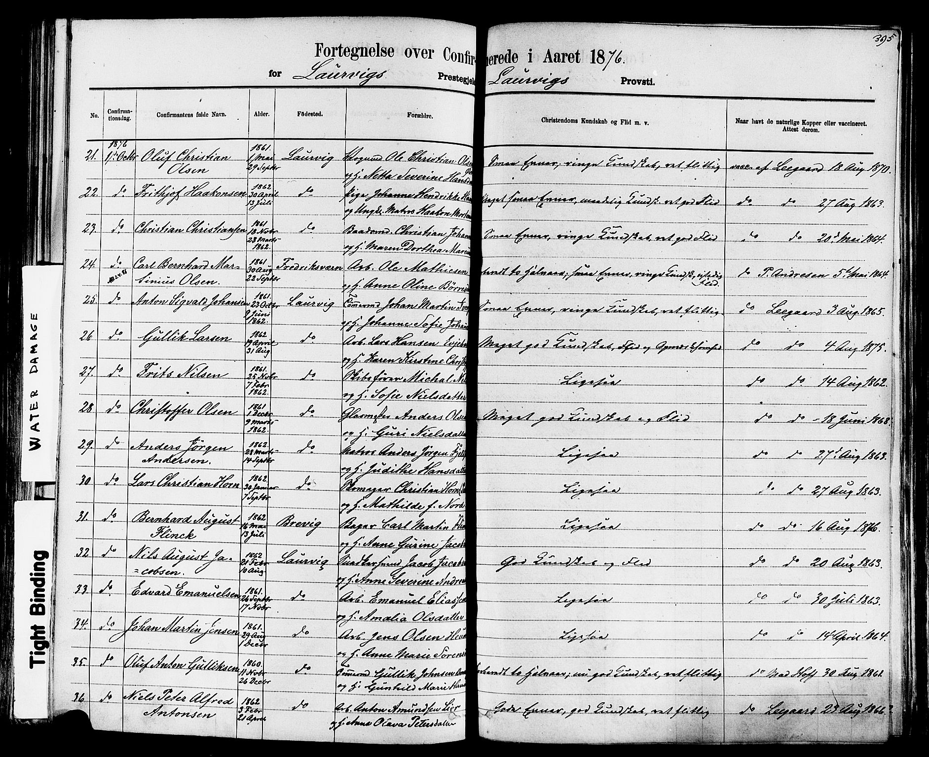 Larvik kirkebøker, AV/SAKO-A-352/F/Fa/L0006: Parish register (official) no. I 6, 1871-1883, p. 395